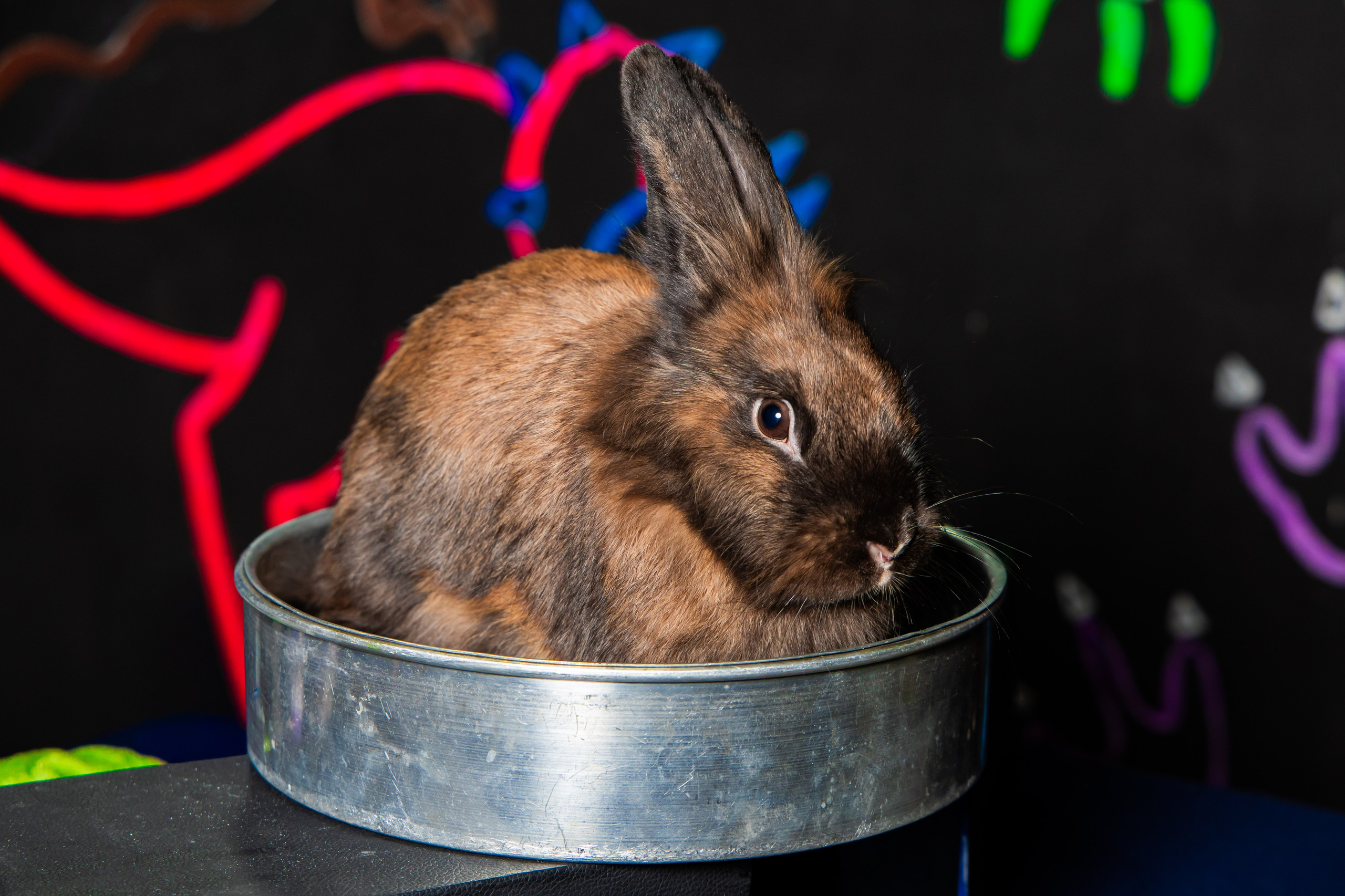 Александр 21/03 Парк Фантазия. Виктория Литвинова репортажный фотограф Москва