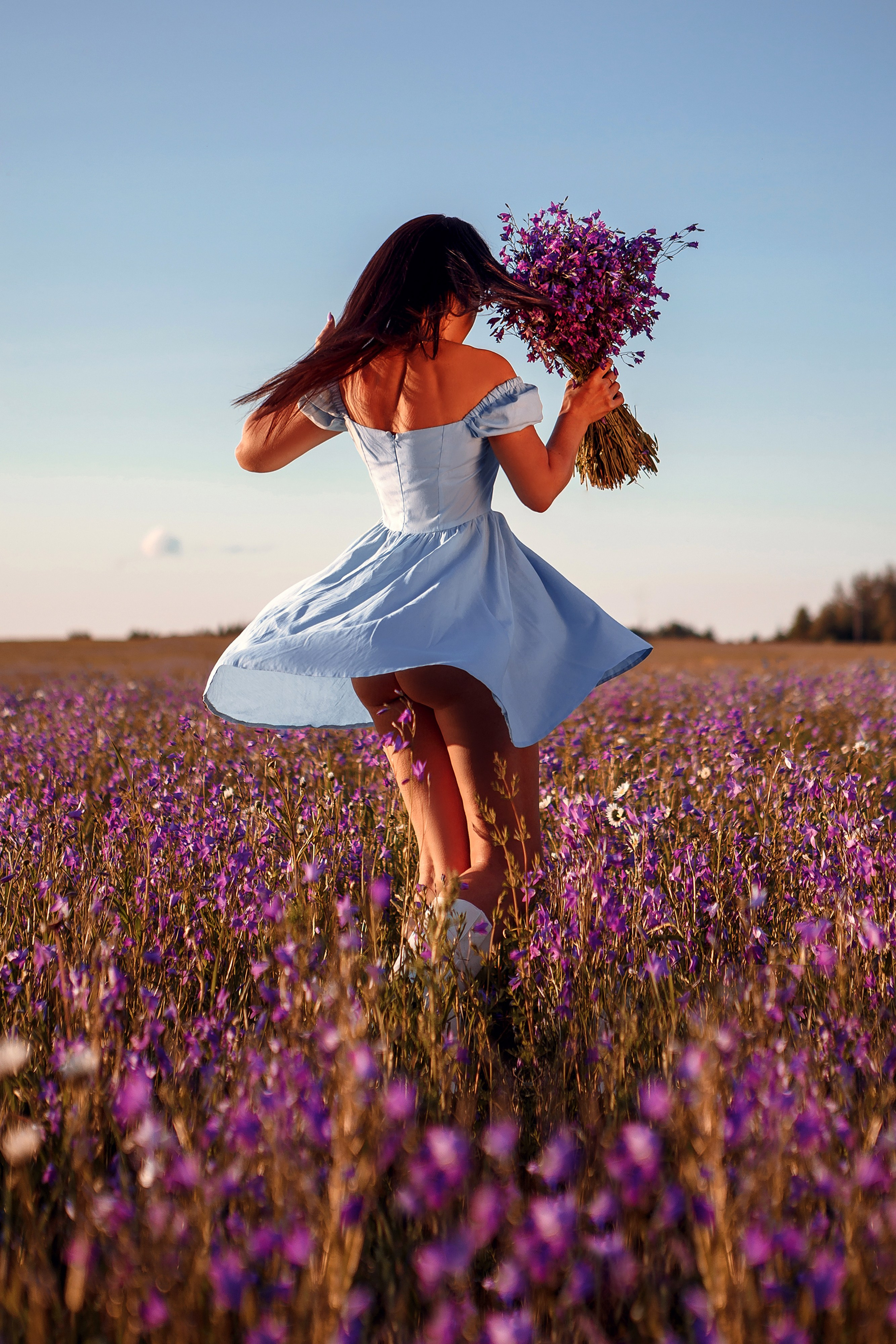 Поля сиреневые. Фотограф в Иваново и других городах Ирина Сметанкина