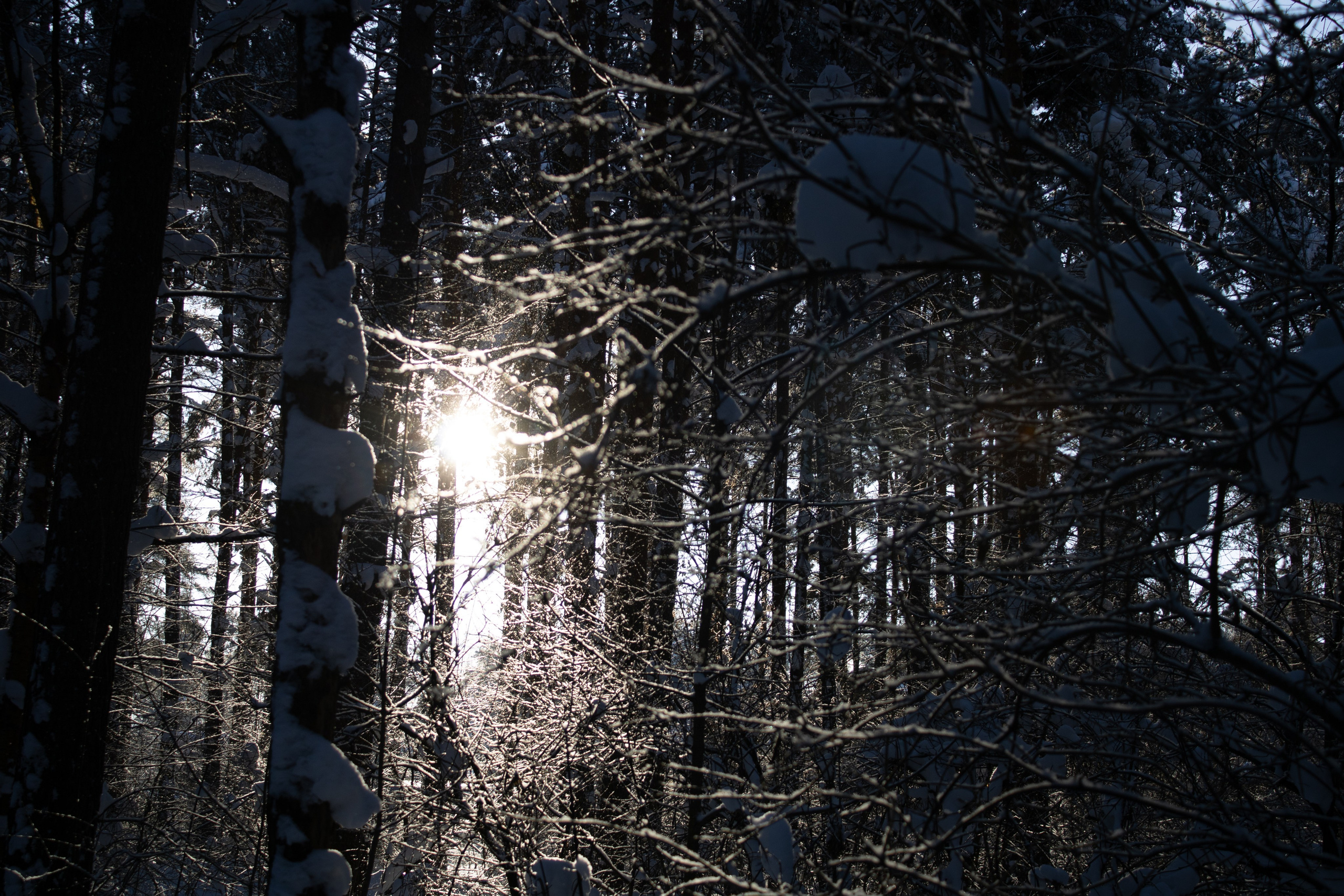 Вдохновение. Бутакова Елена фотограф в Екатеринбурге