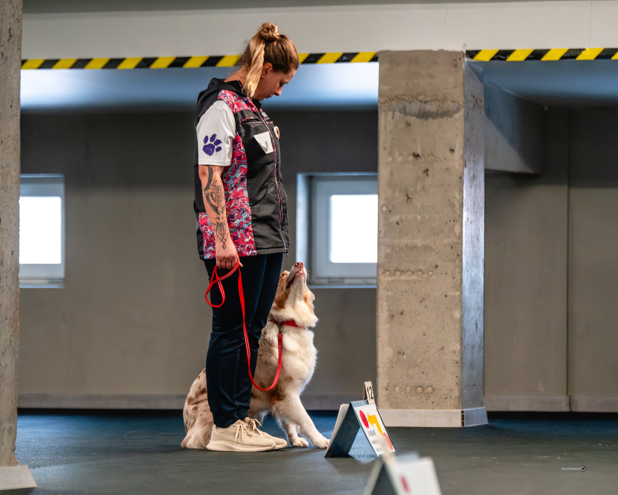 ТЫ И Я (соревнования по ралли-обидиенс). Фотограф-анималист, семейный фотограф в Москве и Подмосковье. Фотосъёмка кинологических дисциплин