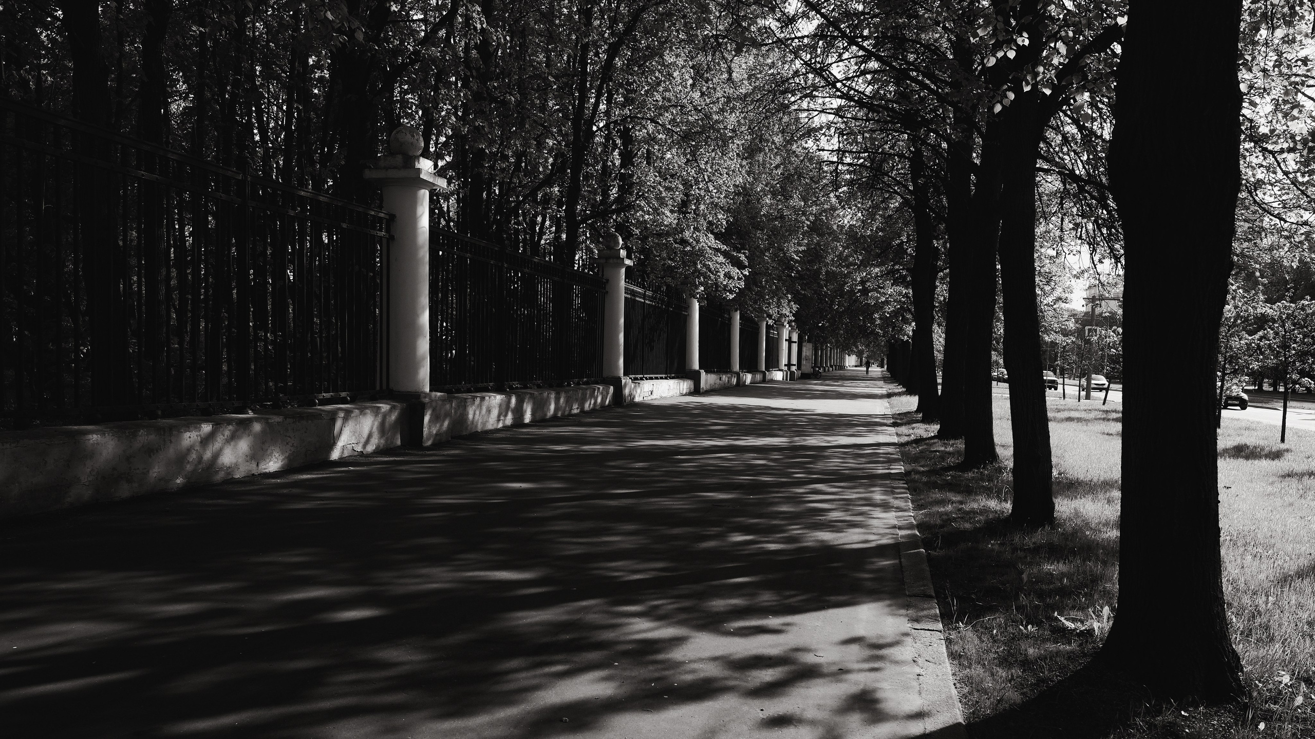 Аллея, район МГУ, Москва