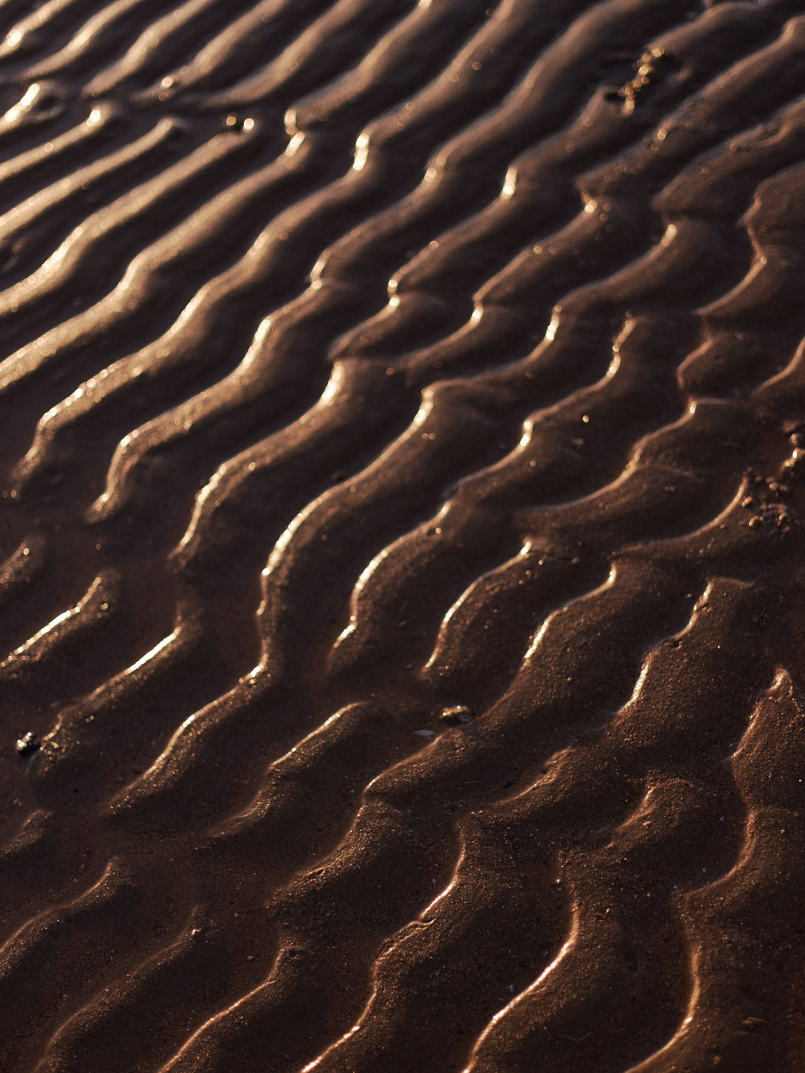 Другое 2. Jorgis Talè — photographer, kind person, teacher of arts and other mag