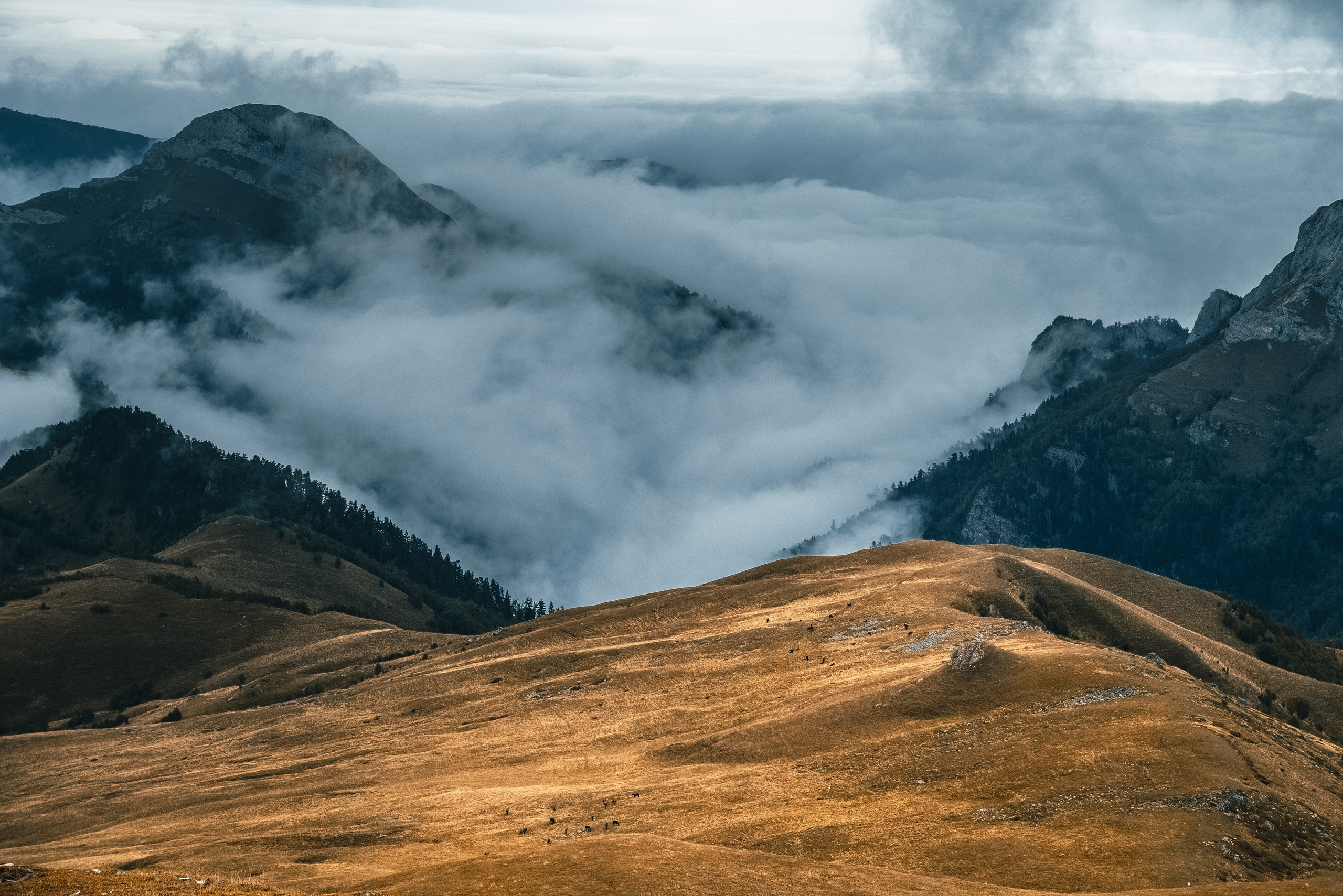 фотография кавказских гор, Магишо,