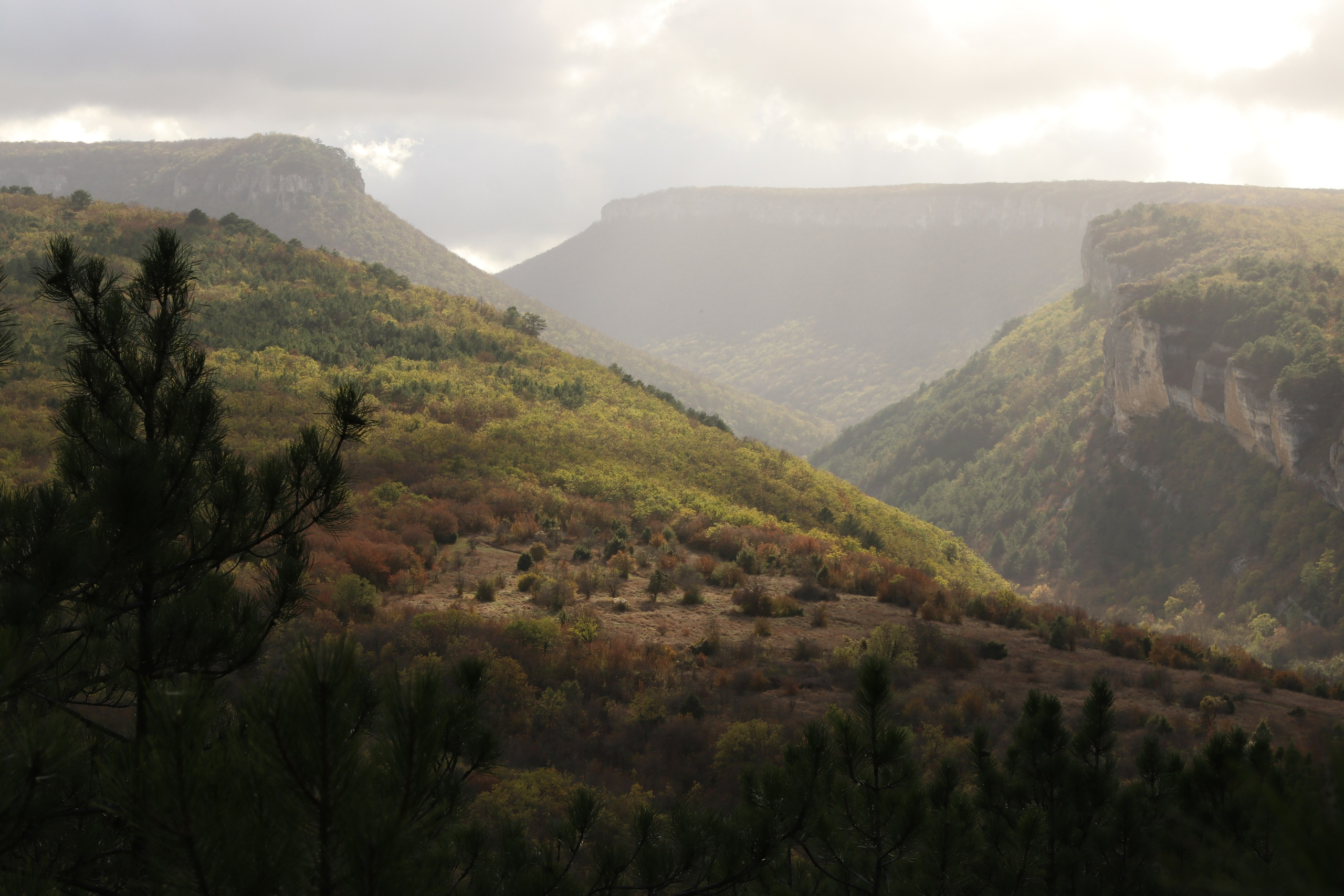 Крым. ЮБК (Гурзуф, Судак и их окрестности). Ноябрь 2023. Путешественник-фотограф из Санкт-Петербурга Татьяна Свистулина