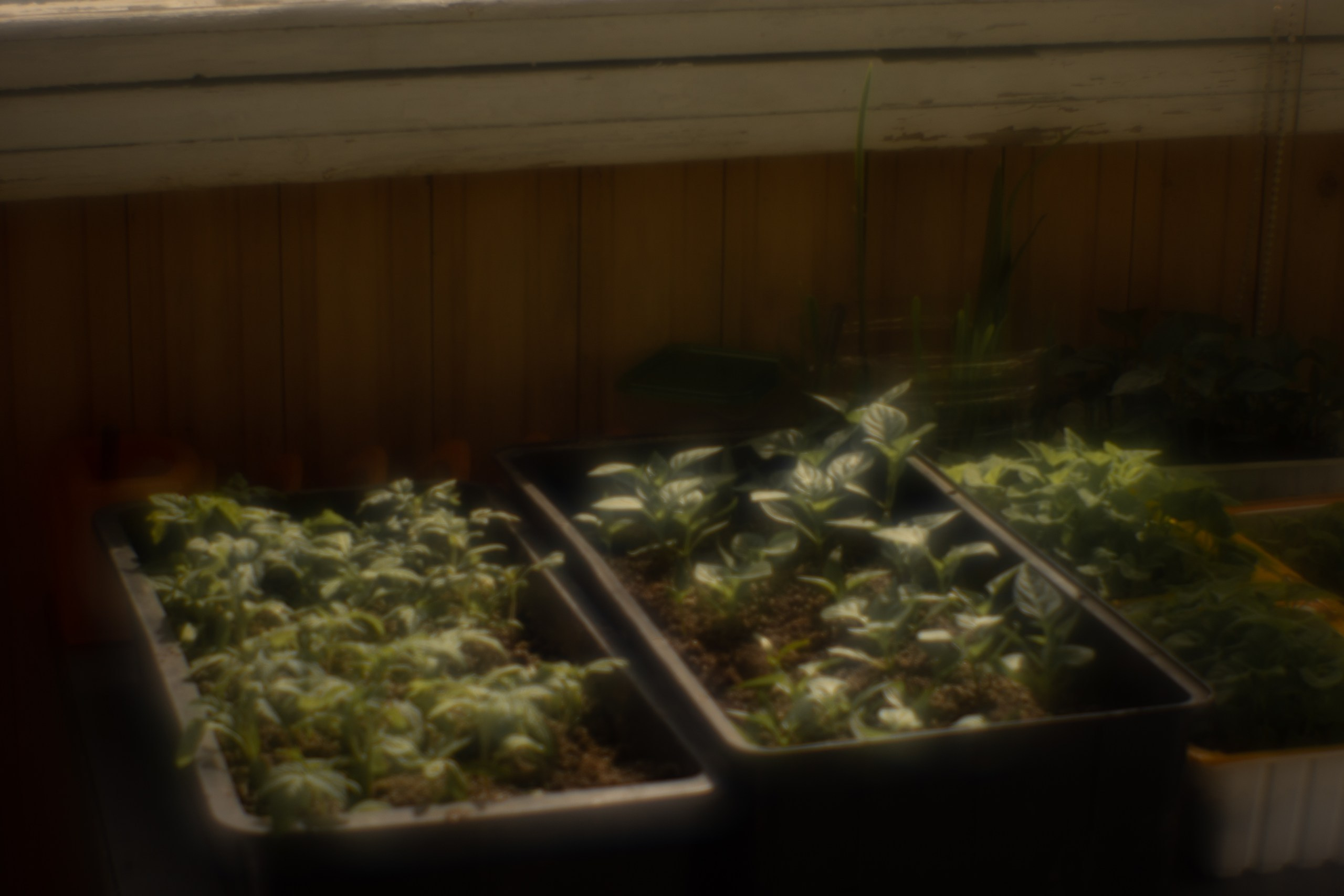 Пикториальный альбом. Семейный LIFESTYLE фотограф в Москве