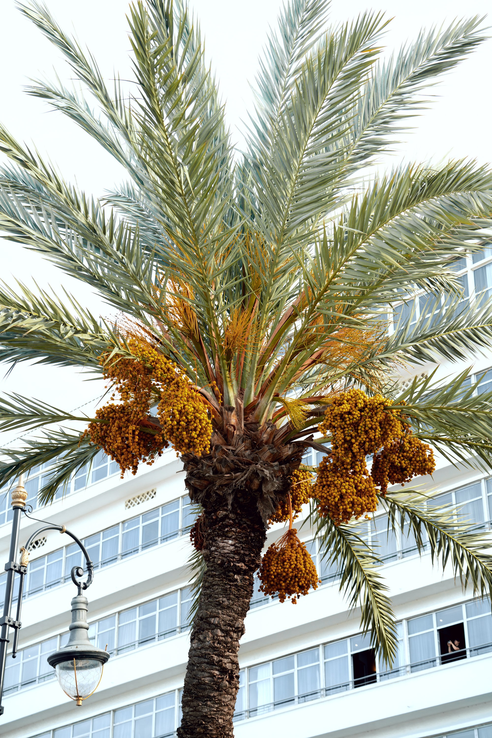 Северная Африка: Тунис, Марокко. Фотограф в Хабаровске. Фотография за 24 часа