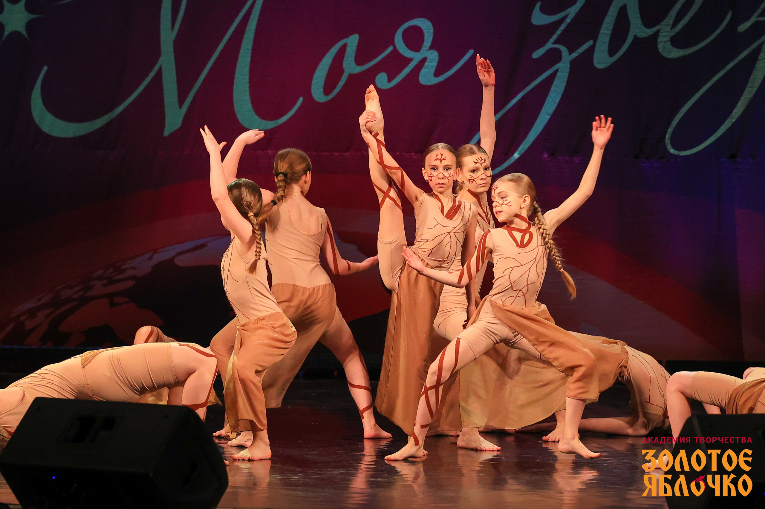 7 февраля, г. Петрозаводск. Золотое яблочко