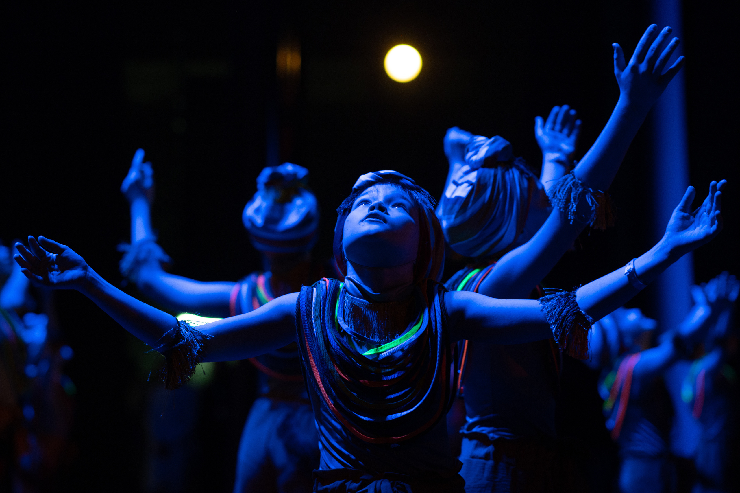 MD PRIDE GRAND PREMIUM. SASHA SKETCHER