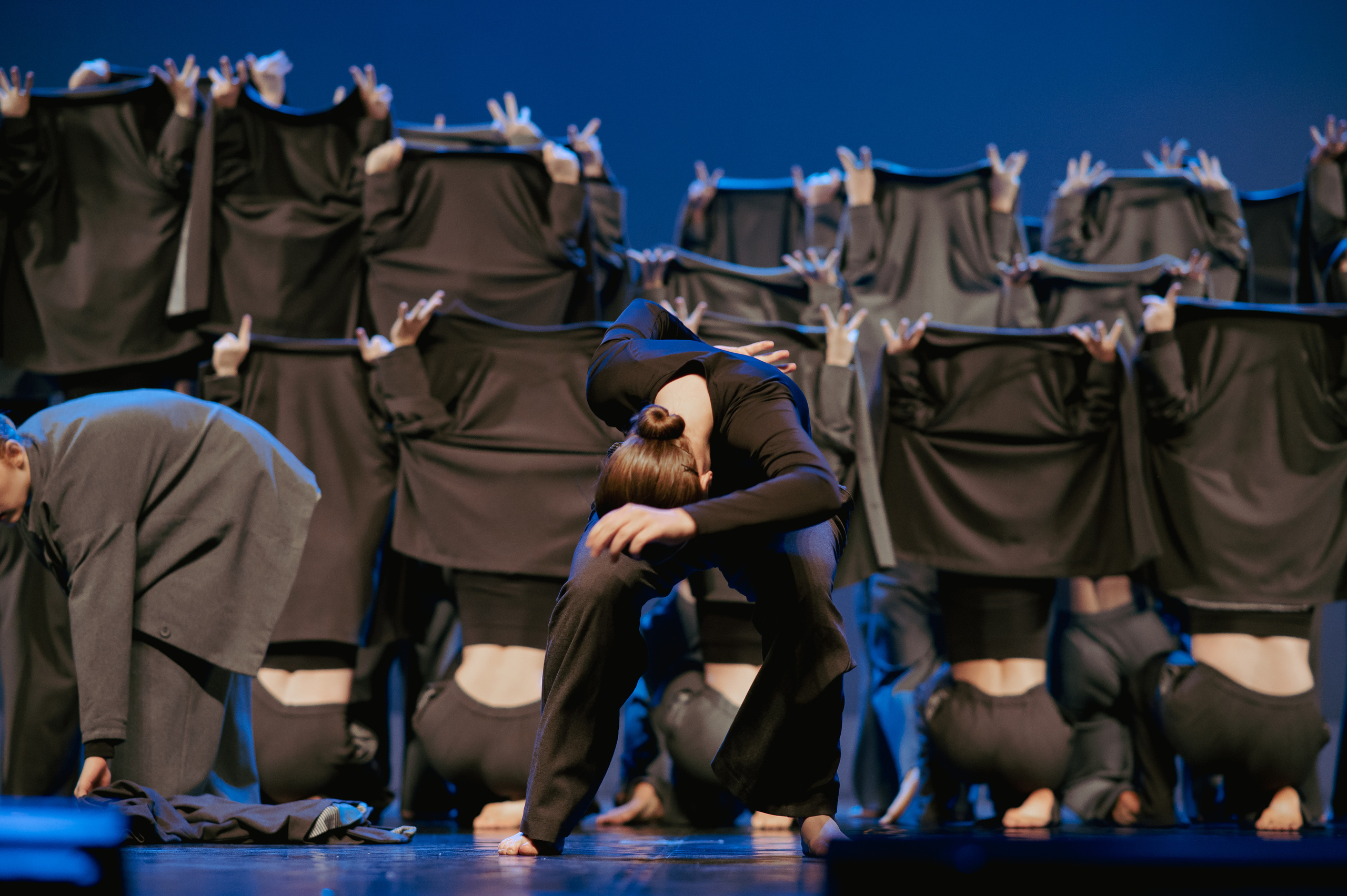 MD PRIDE GRAND PREMIUM. SASHA SKETCHER