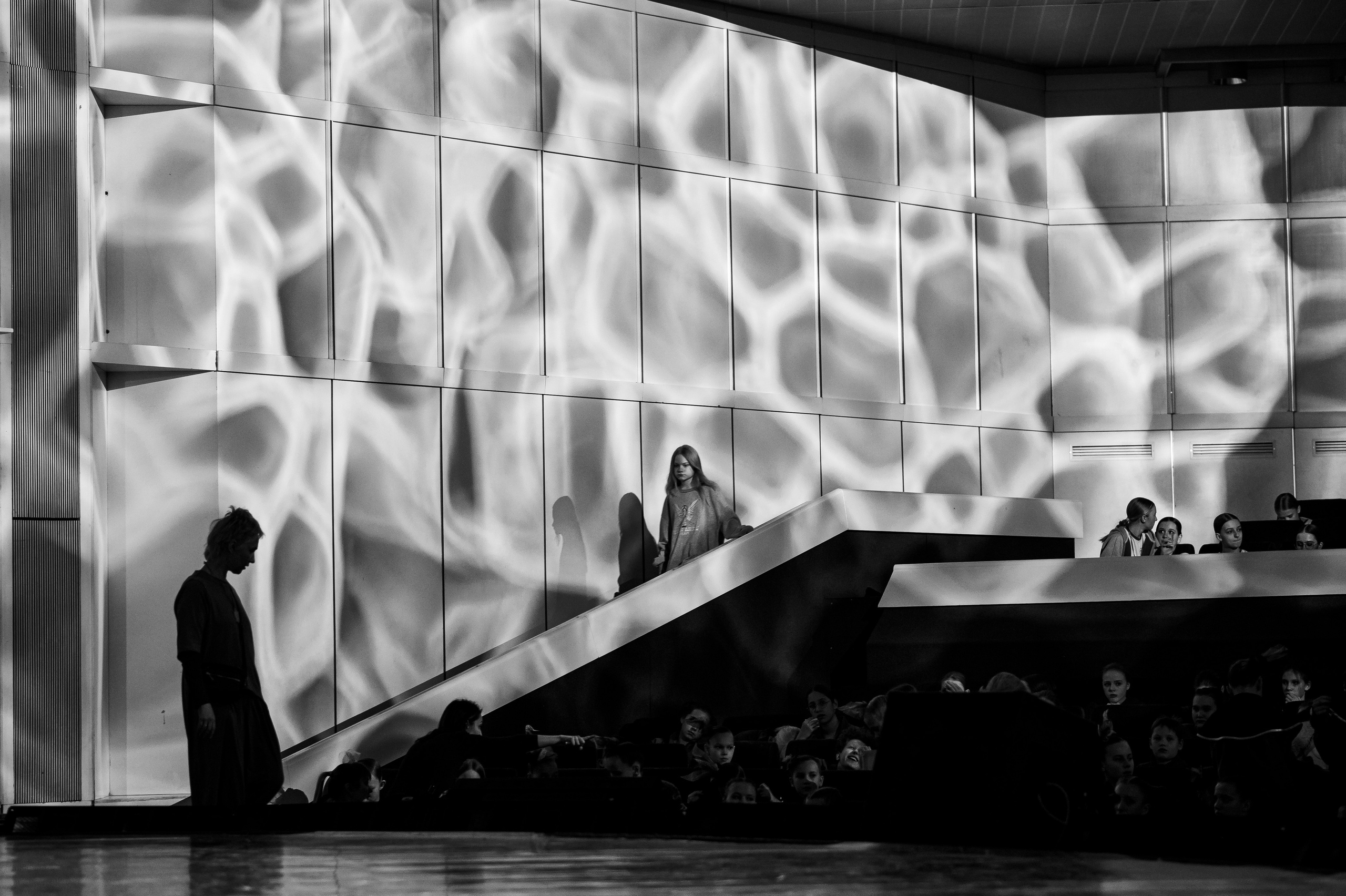 MD PRIDE GRAND PREMIUM. SASHA SKETCHER