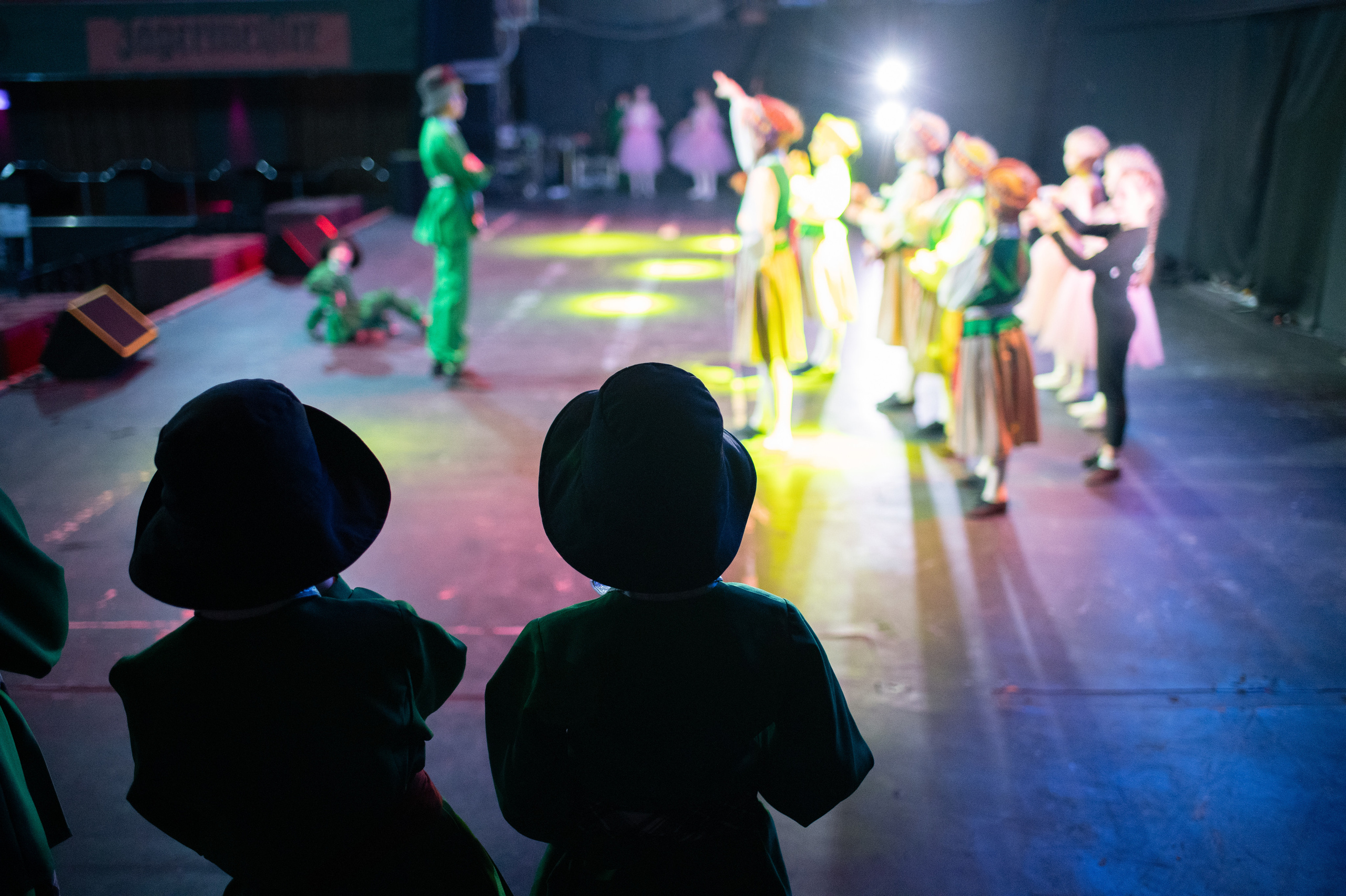 «Гора самоцветов», Ликование. SASHA SKETCHER