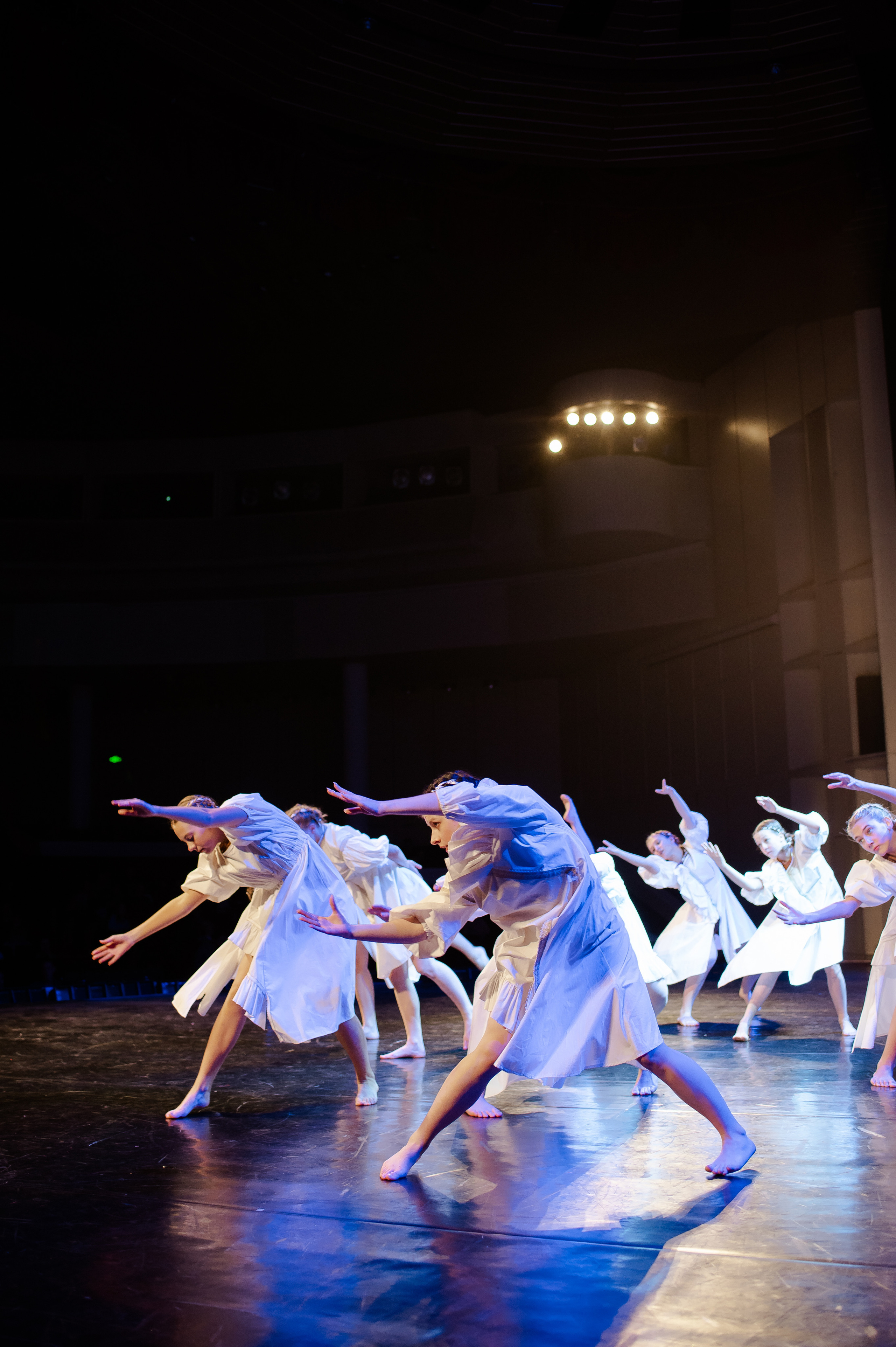 MD PRIDE GRAND PREMIUM. SASHA SKETCHER