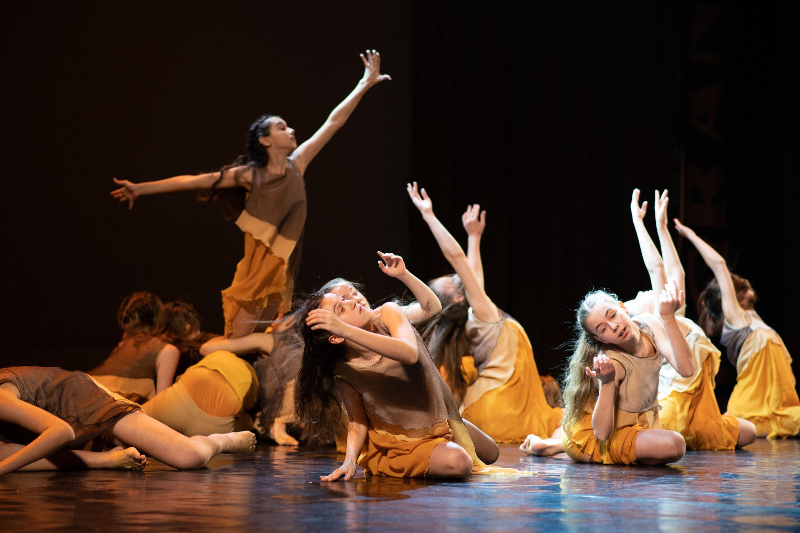 MD PRIDE GRAND PREMIUM. SASHA SKETCHER