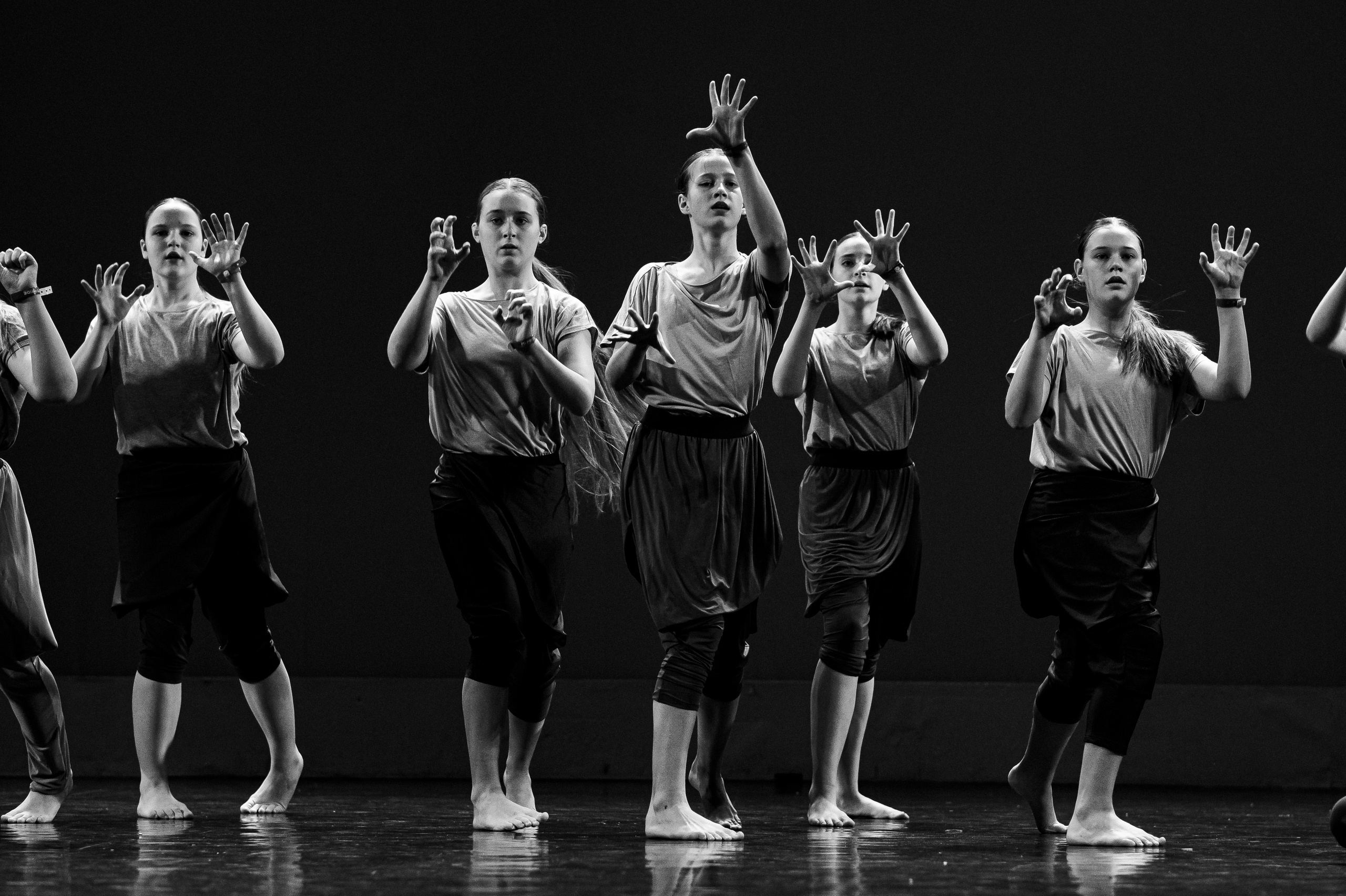 MD PRIDE GRAND PREMIUM. SASHA SKETCHER