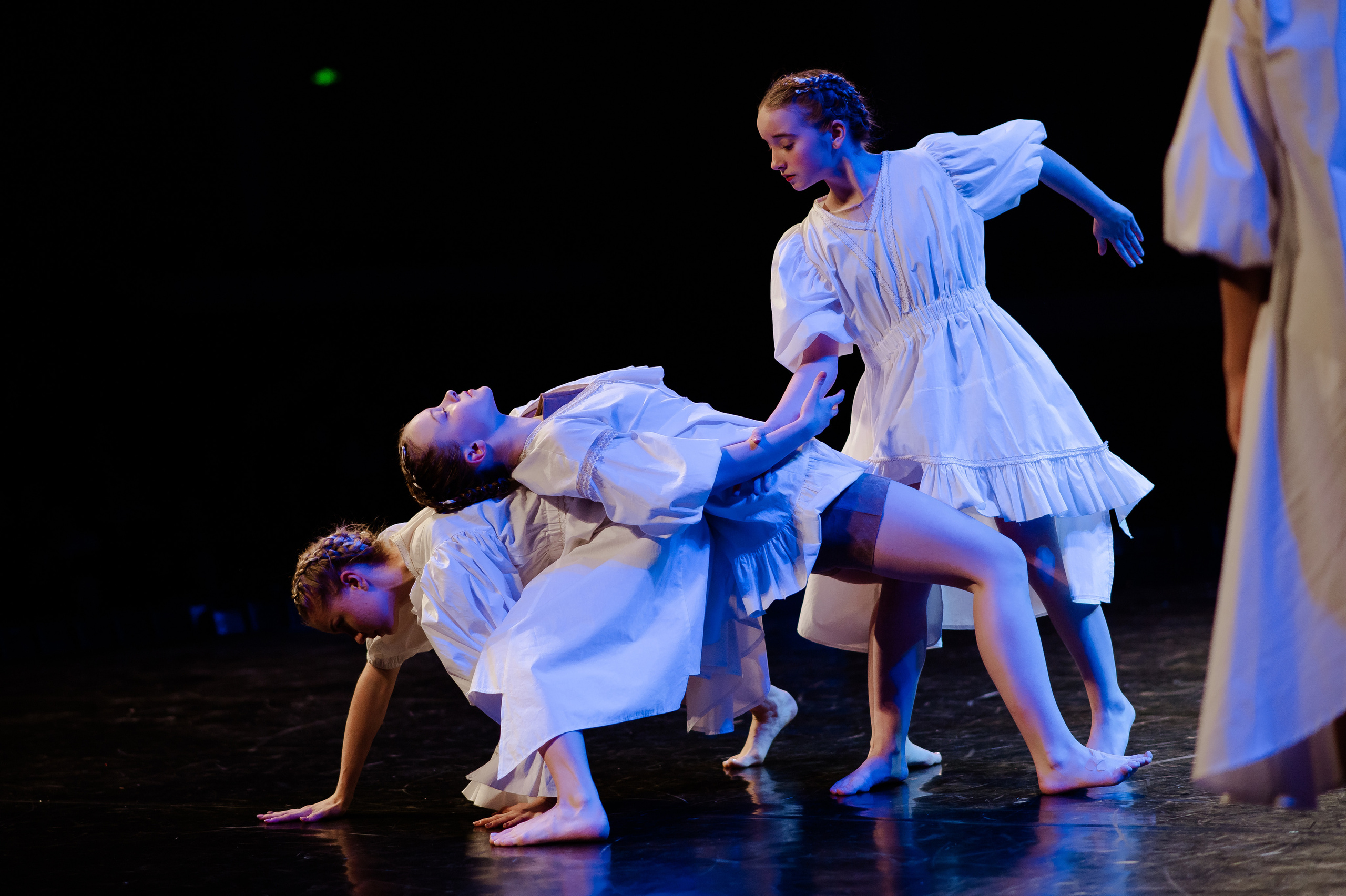 MD PRIDE GRAND PREMIUM. SASHA SKETCHER