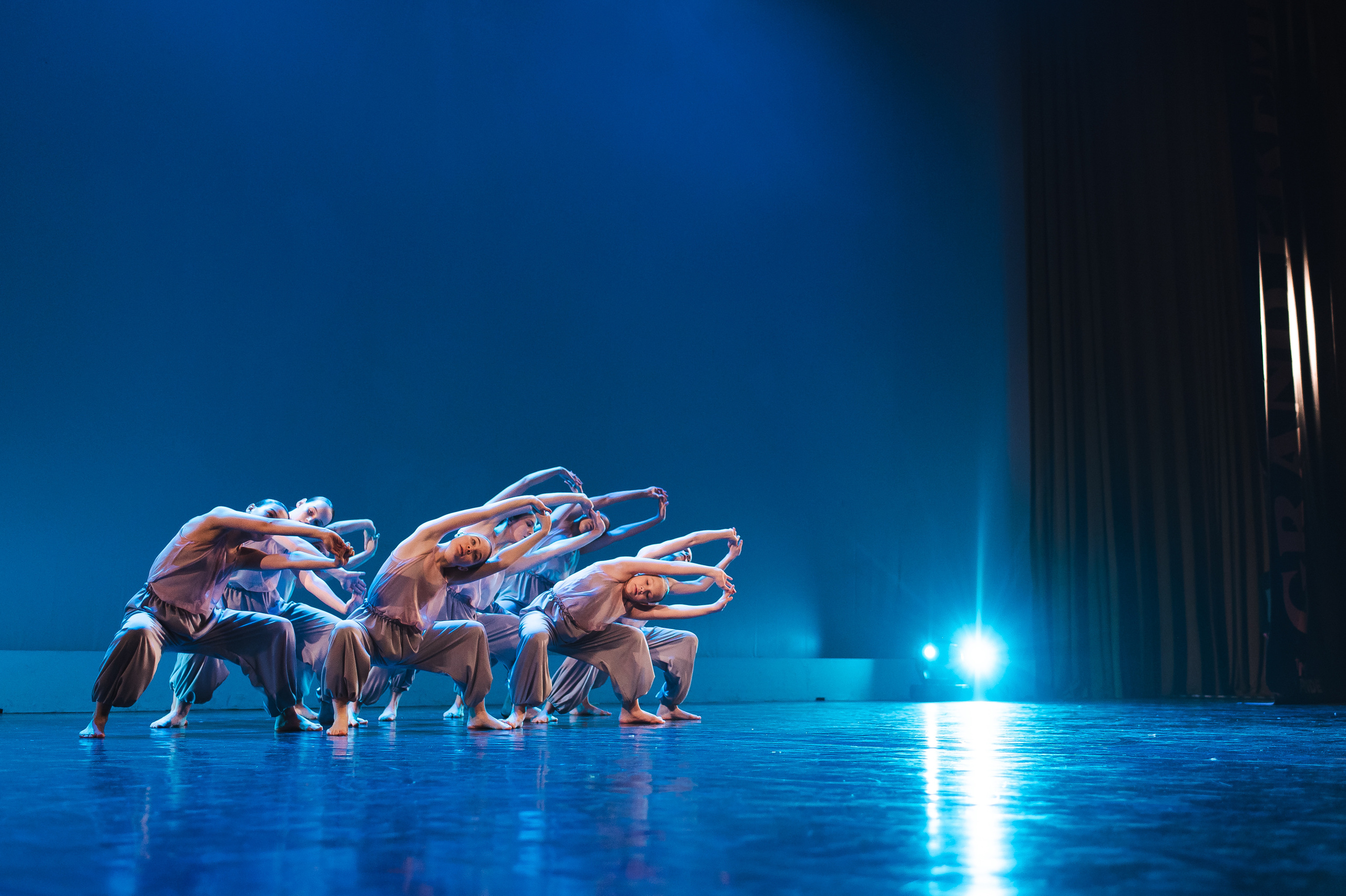 MD PRIDE GRAND PREMIUM. SASHA SKETCHER