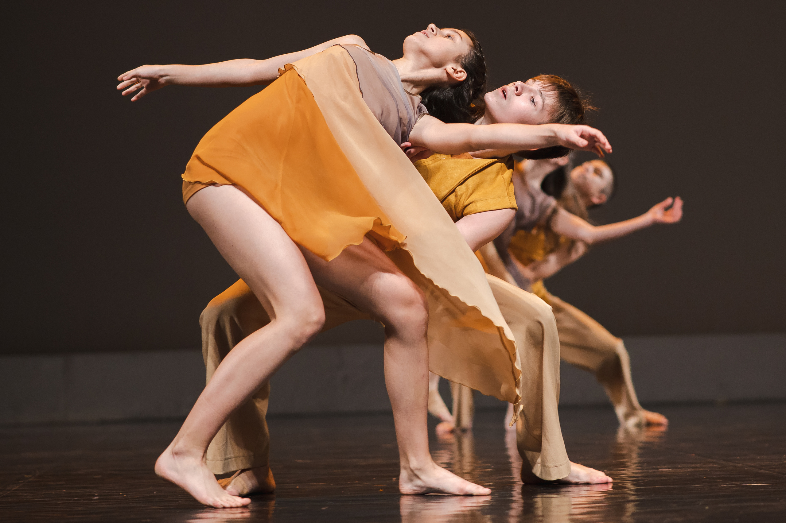 MD PRIDE GRAND PREMIUM. SASHA SKETCHER