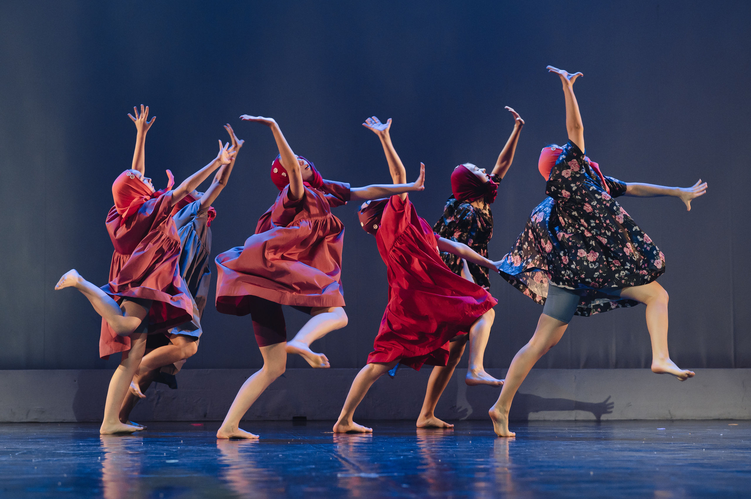 MD PRIDE GRAND PREMIUM. SASHA SKETCHER