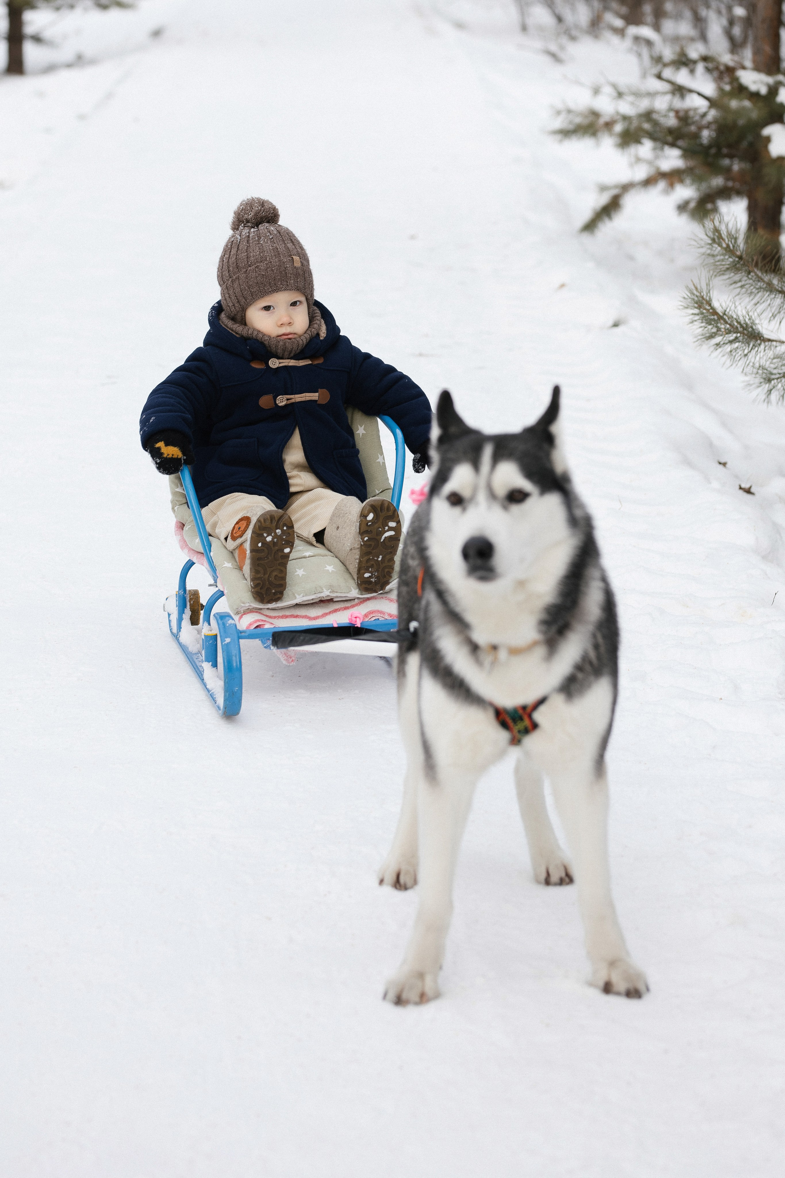 «ПО СУГРОБАМ». Maria Startseva Photo