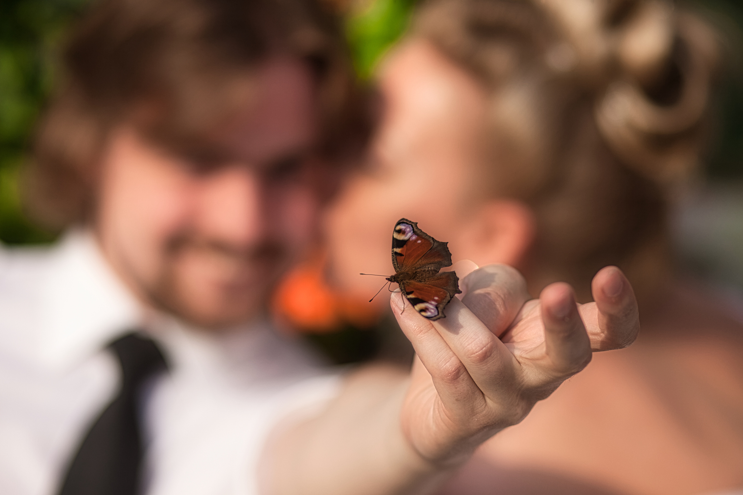 Свадьбы. Фотограф Вячеслав Потемкин Москва