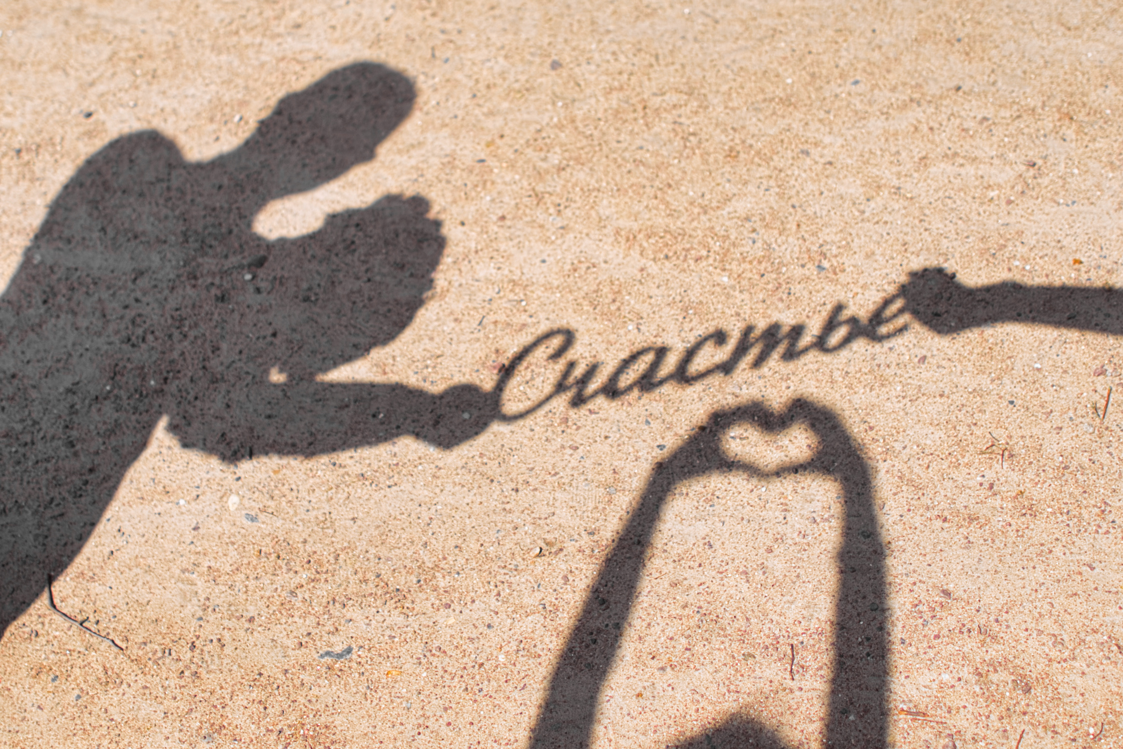 слава Потемкин свадебный фотограф