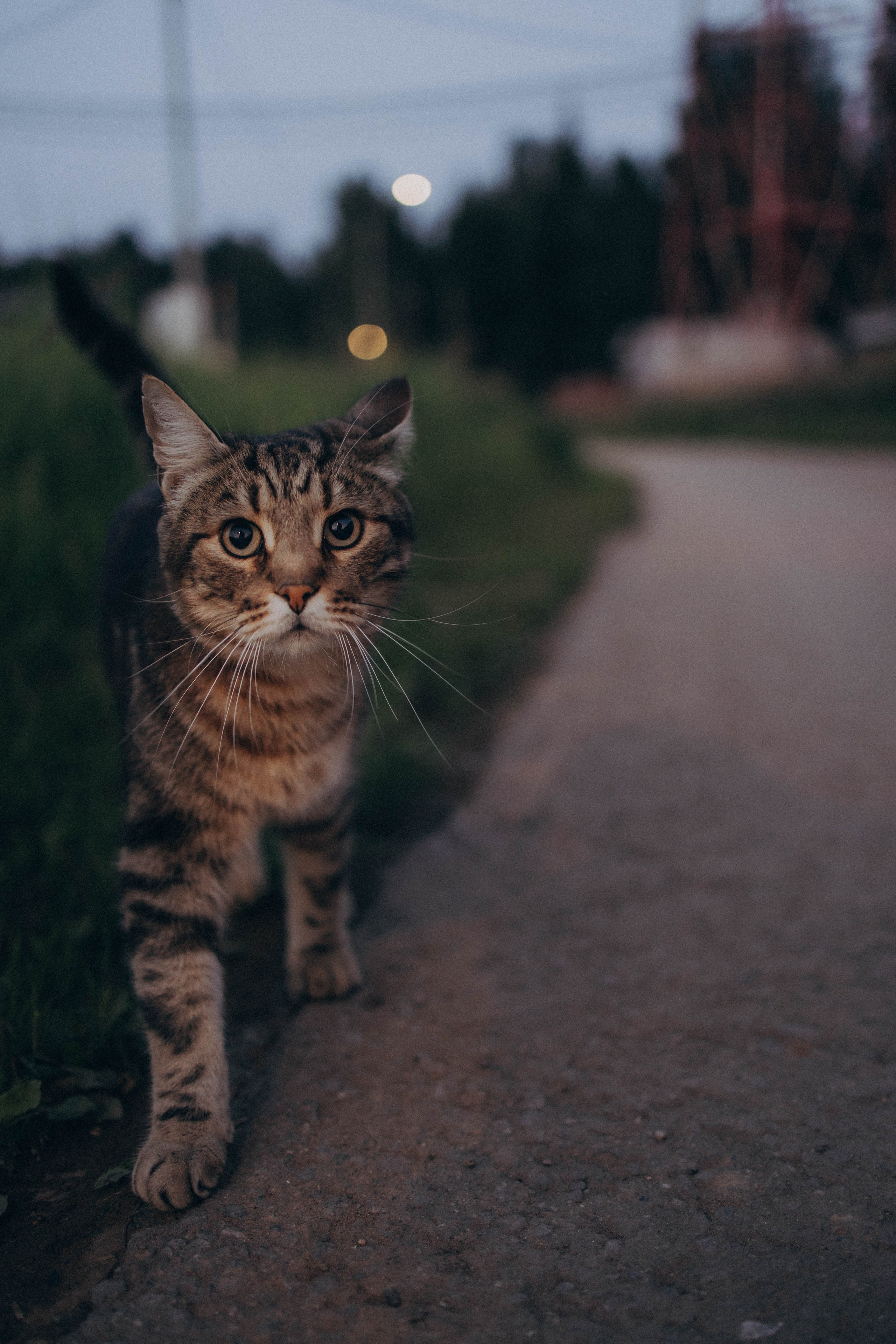 Одним летним днем. Фотограф lifestylе в Москве Пшеничная Анастасия
