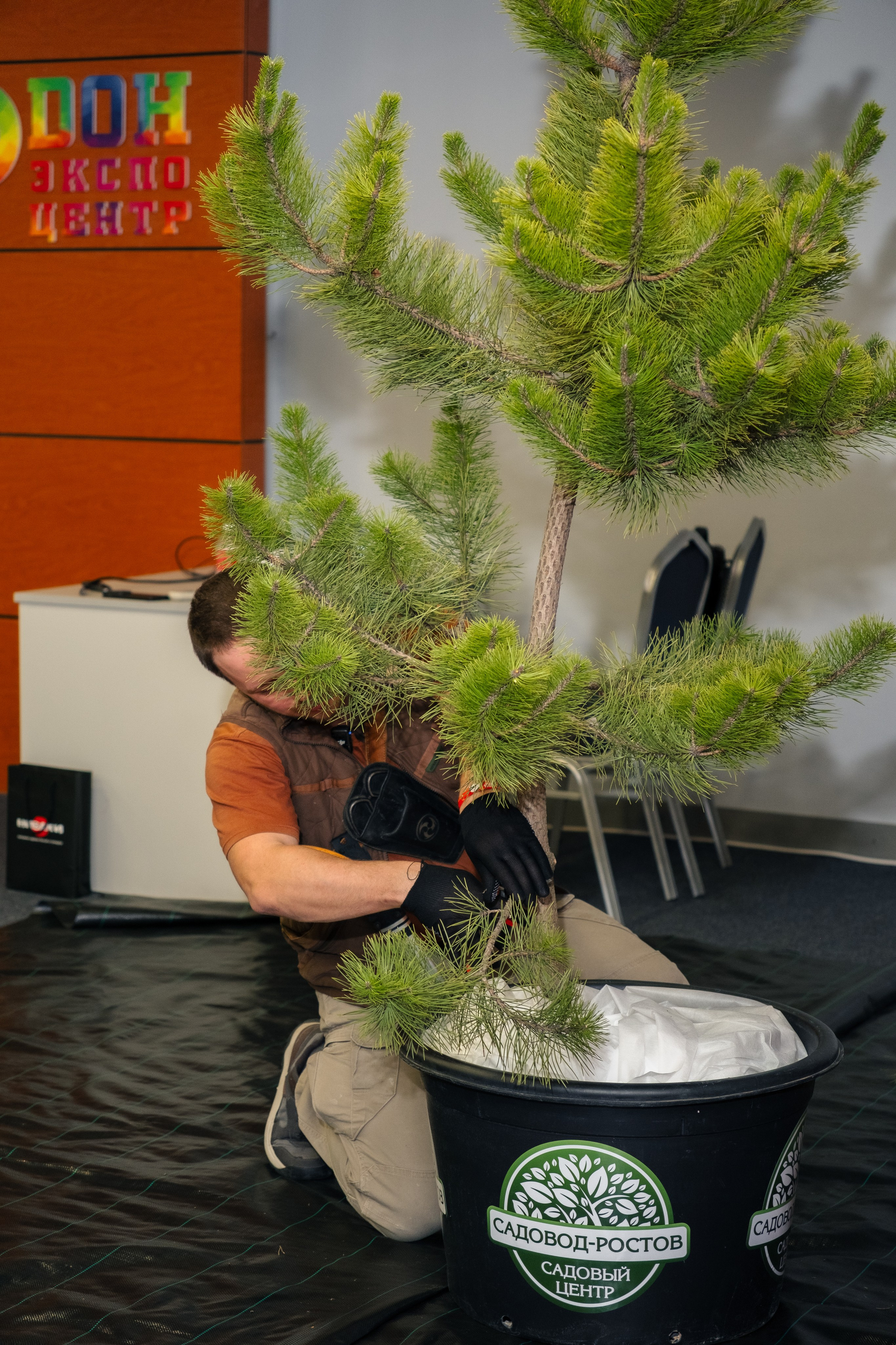 Форум АСЗИЮ. Репортажный фотограф в Сочи Екатерина Вежливцева