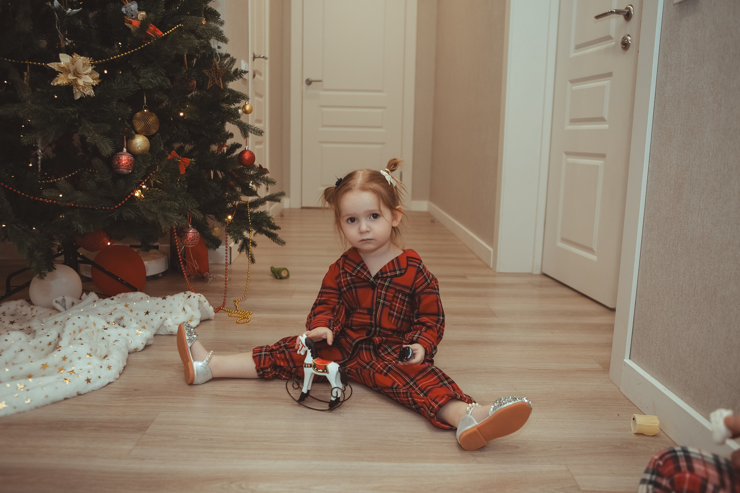 Новый год в кругу семьи (домашняя съемка). Вера Соколова фотограф Воронеж