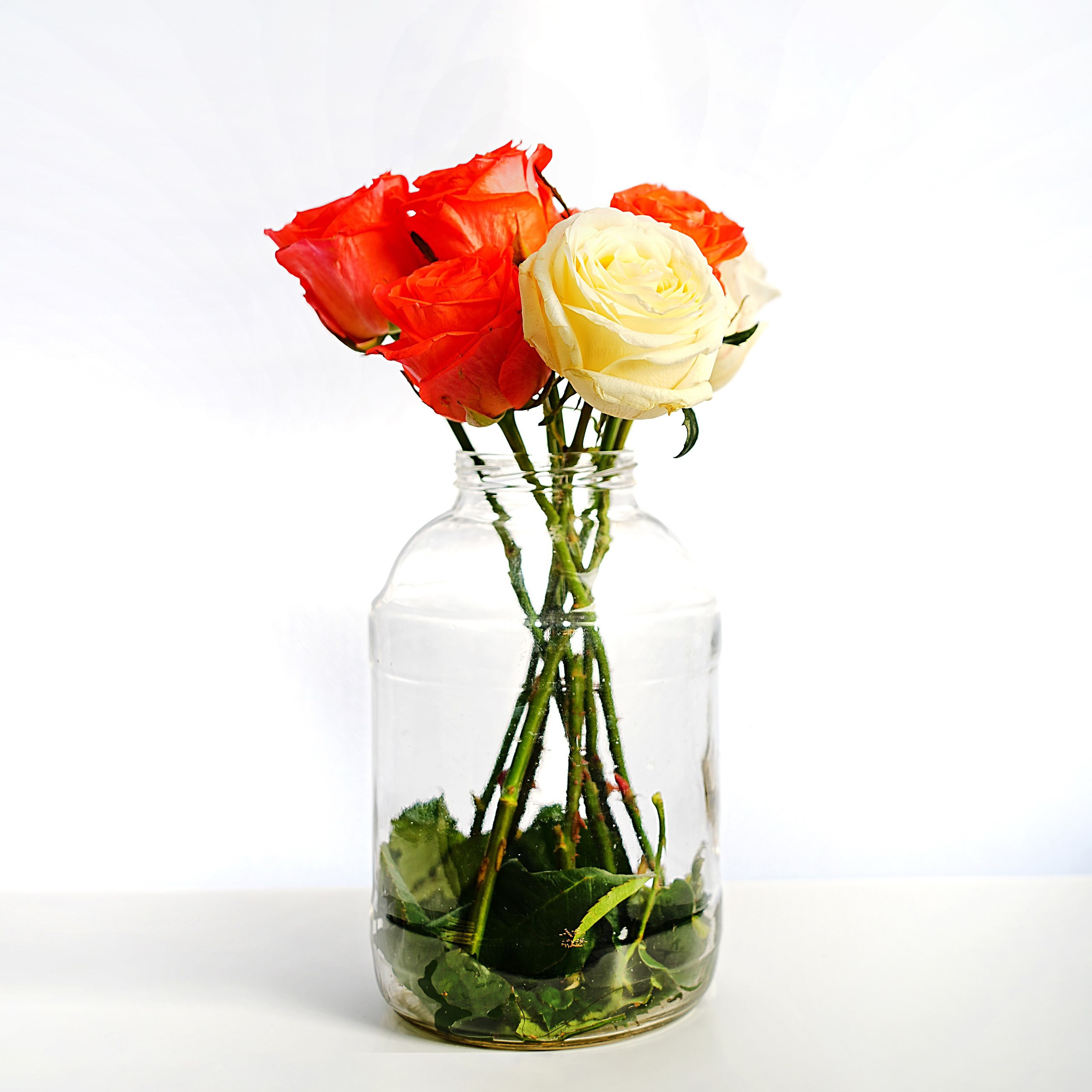 Предметная фотосъёмка. Фотограф, видеооператор Нина Коршунова