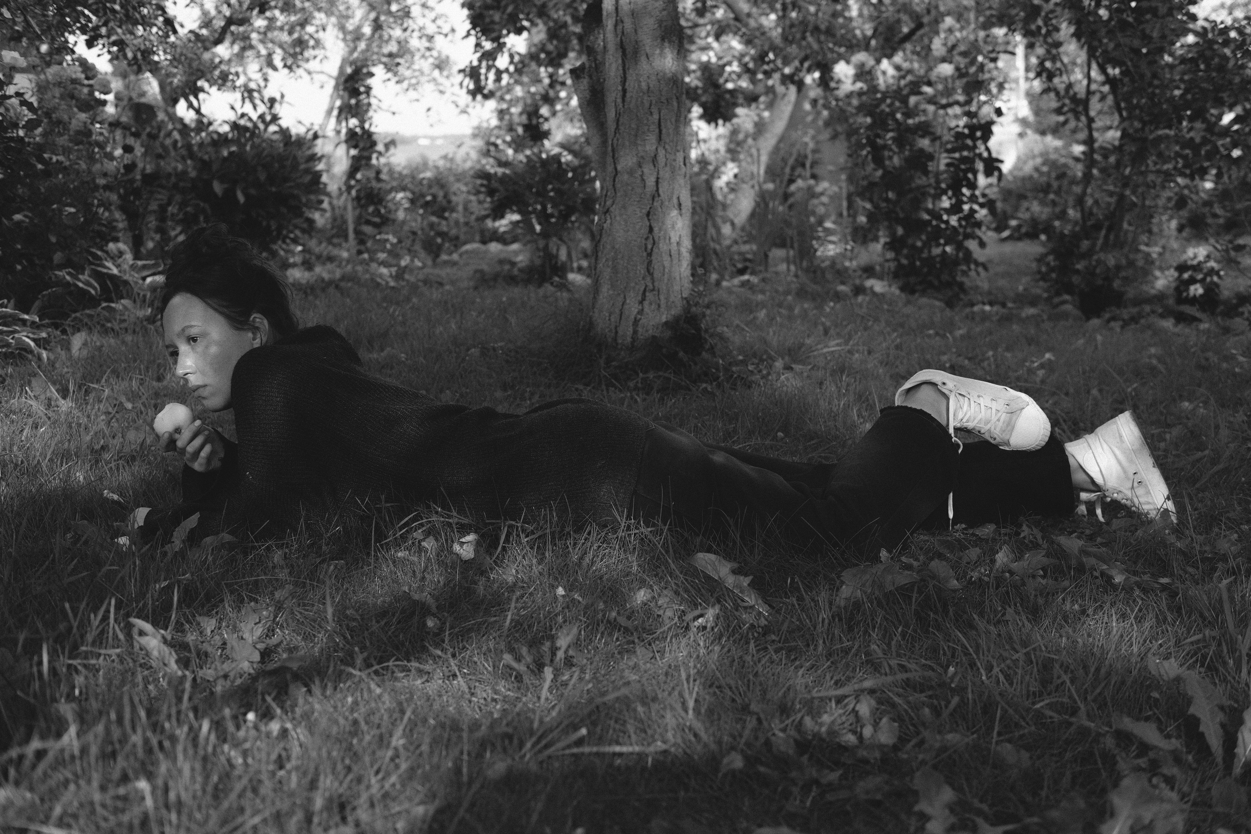 Жизнь сада. Works