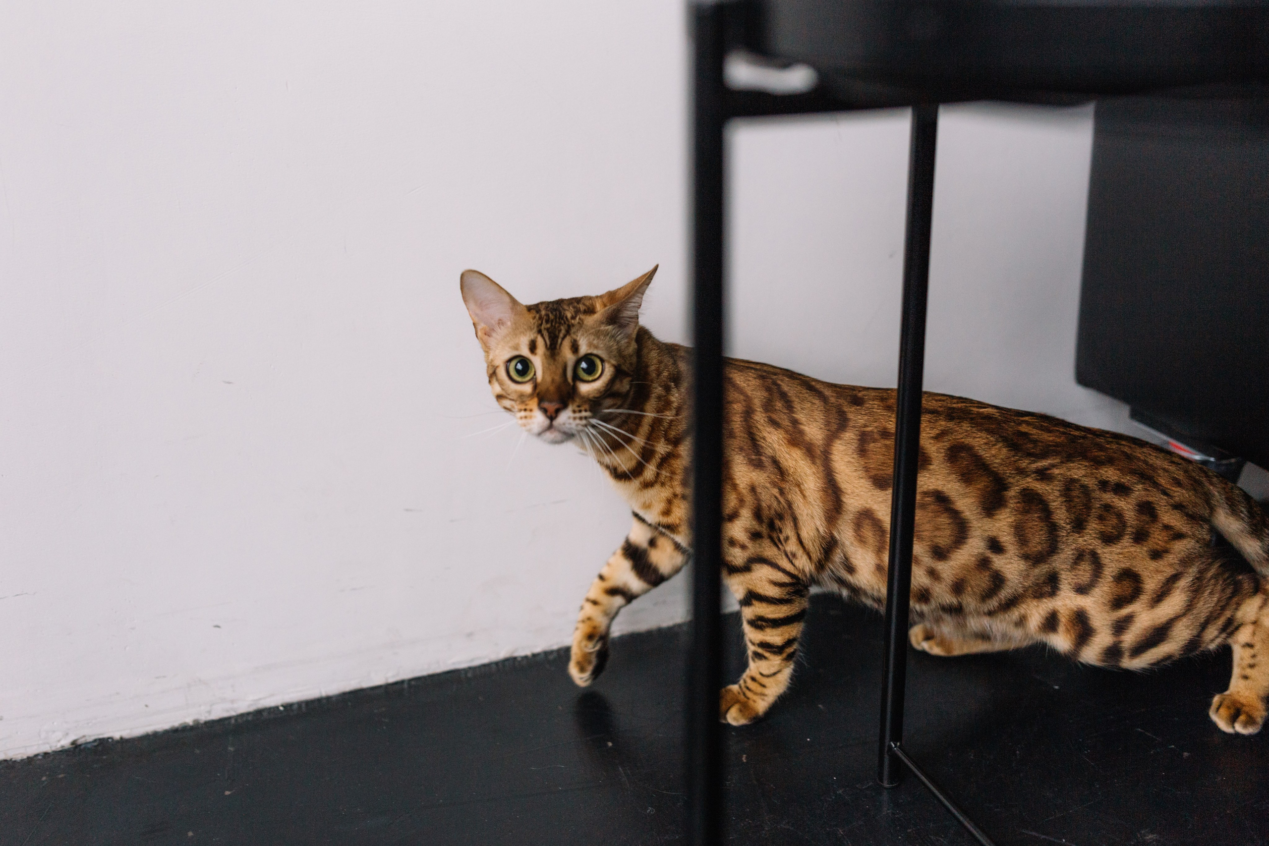 Мила и Моана. Семейный фотограф в Волгограде Надежда Головко