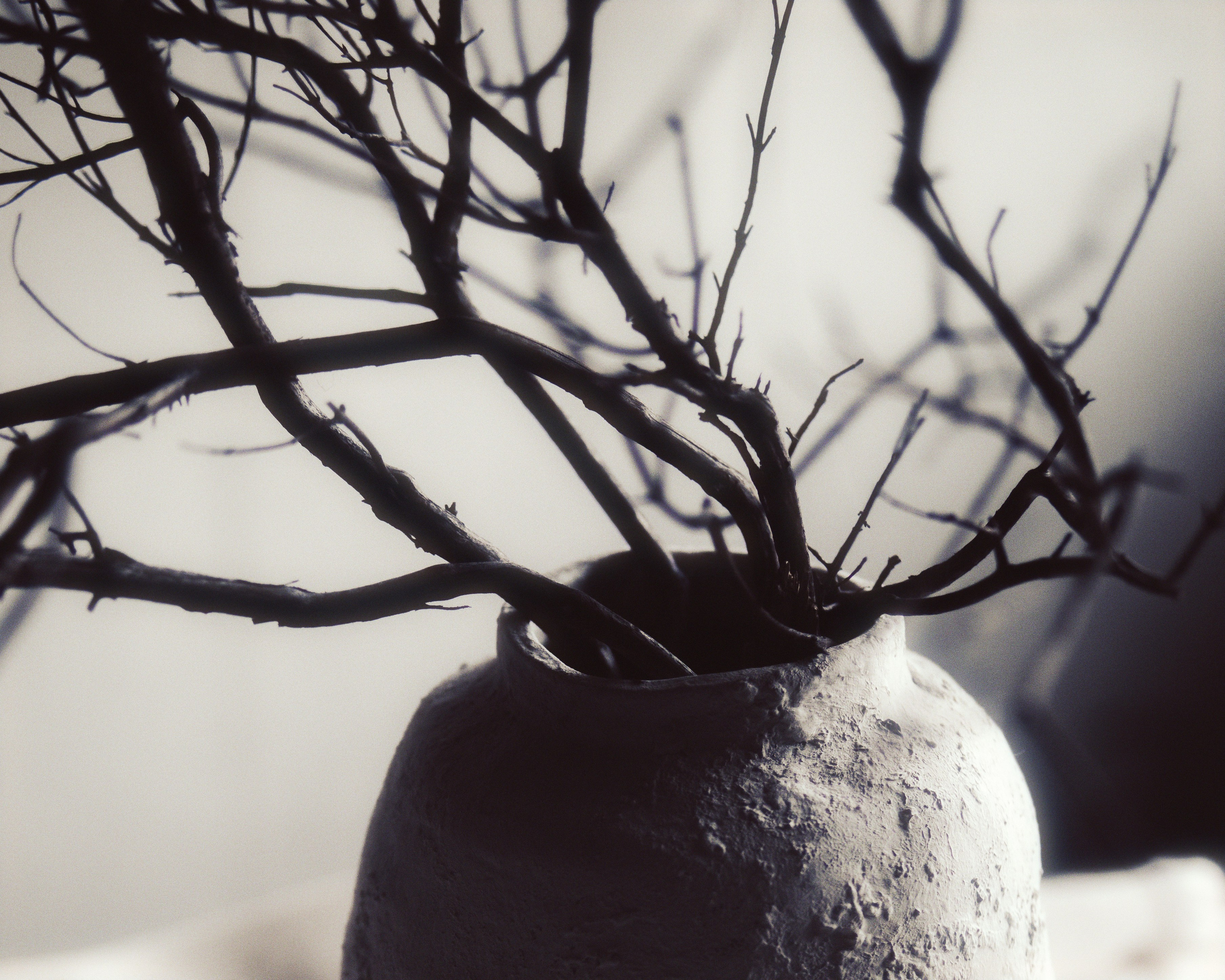 Предметные фотографии Сафонова Владислава. Сафонов Владислав, фотохудожник