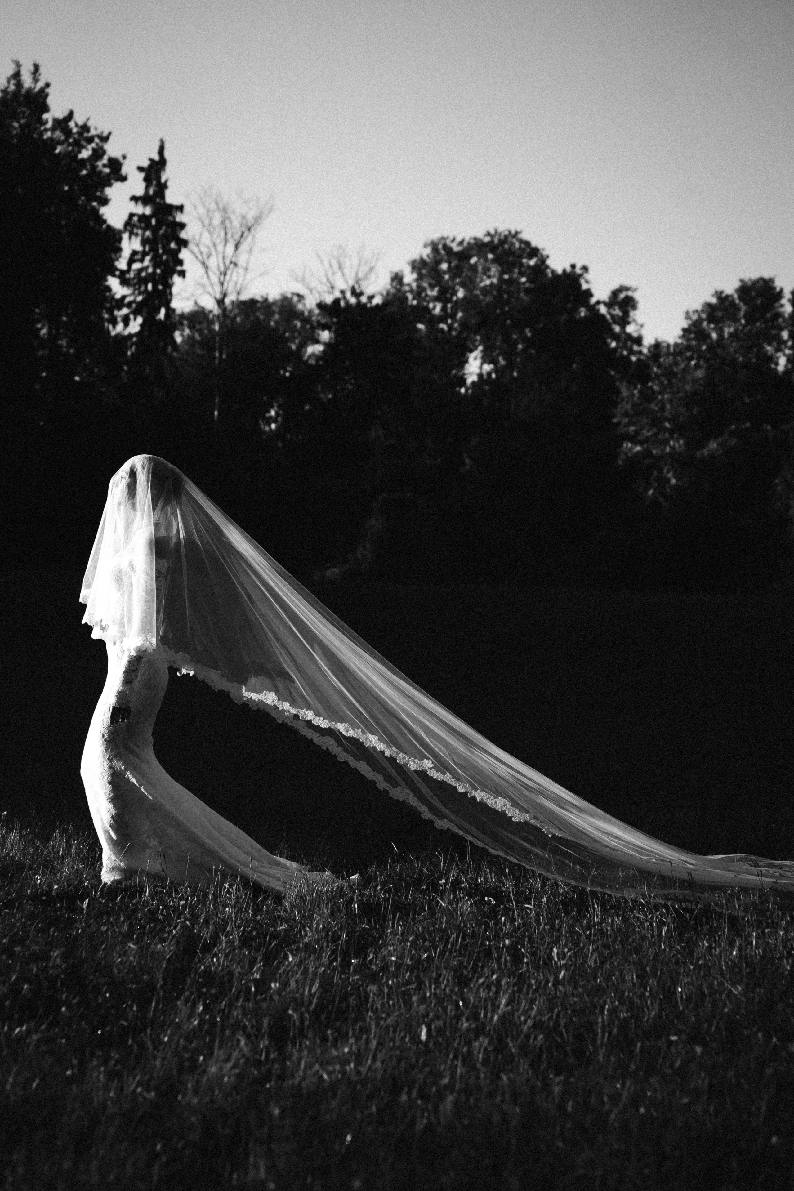 Antique beauty. Свадебный фотограф Москва Светлана Анисимова