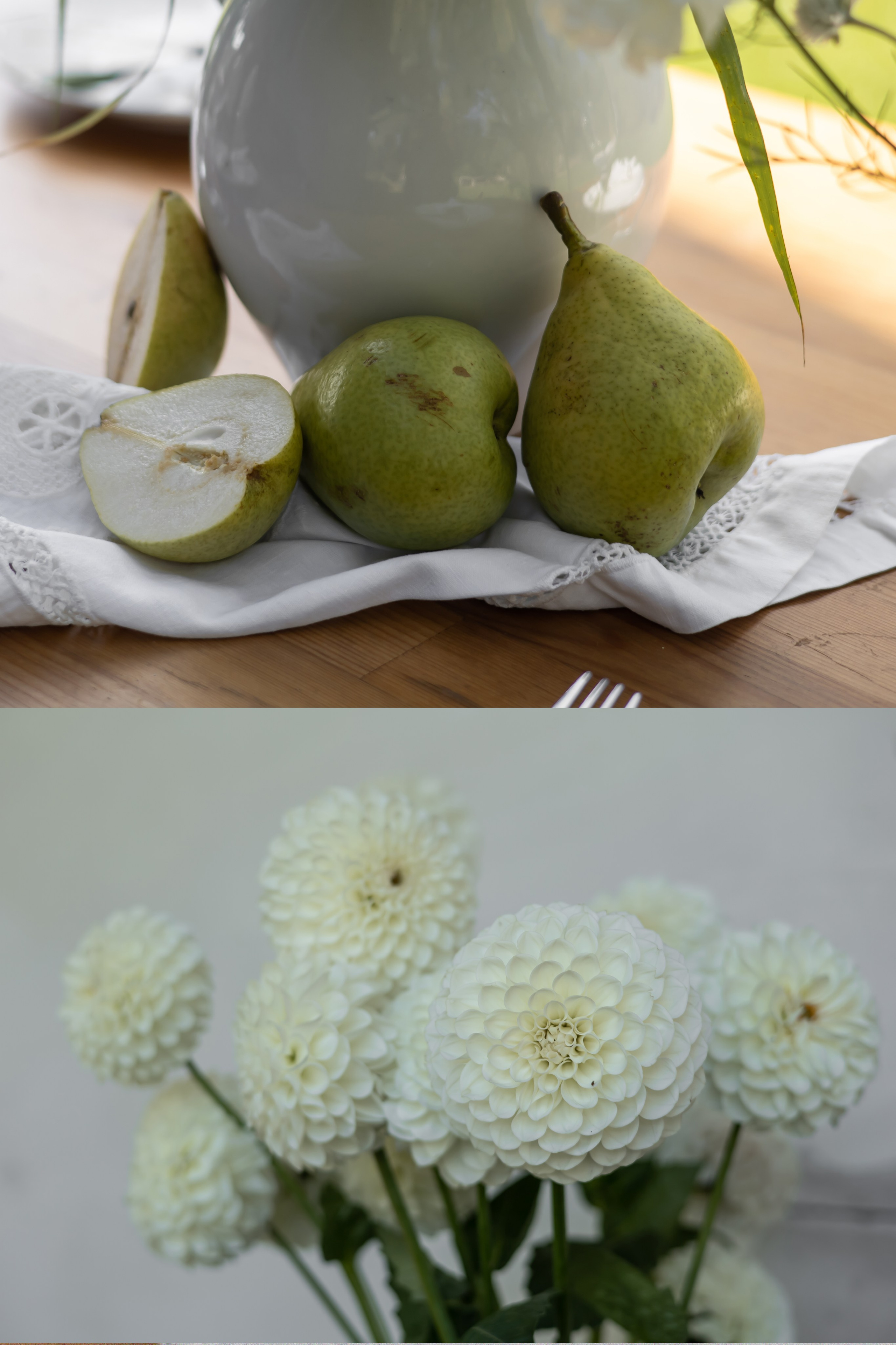 ДИНИЯ. Фотограф Элла Ефимова