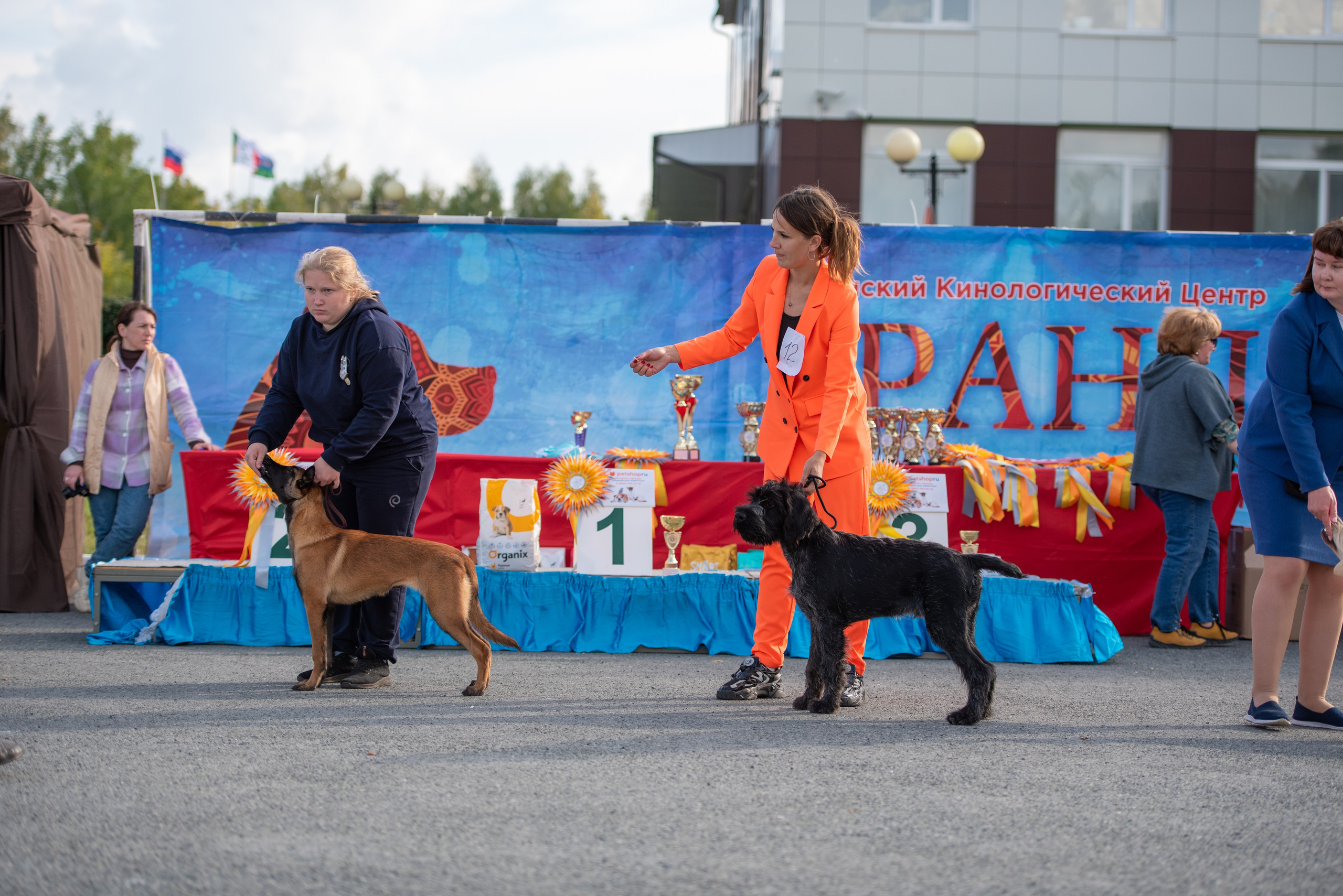 Выставки. Главная