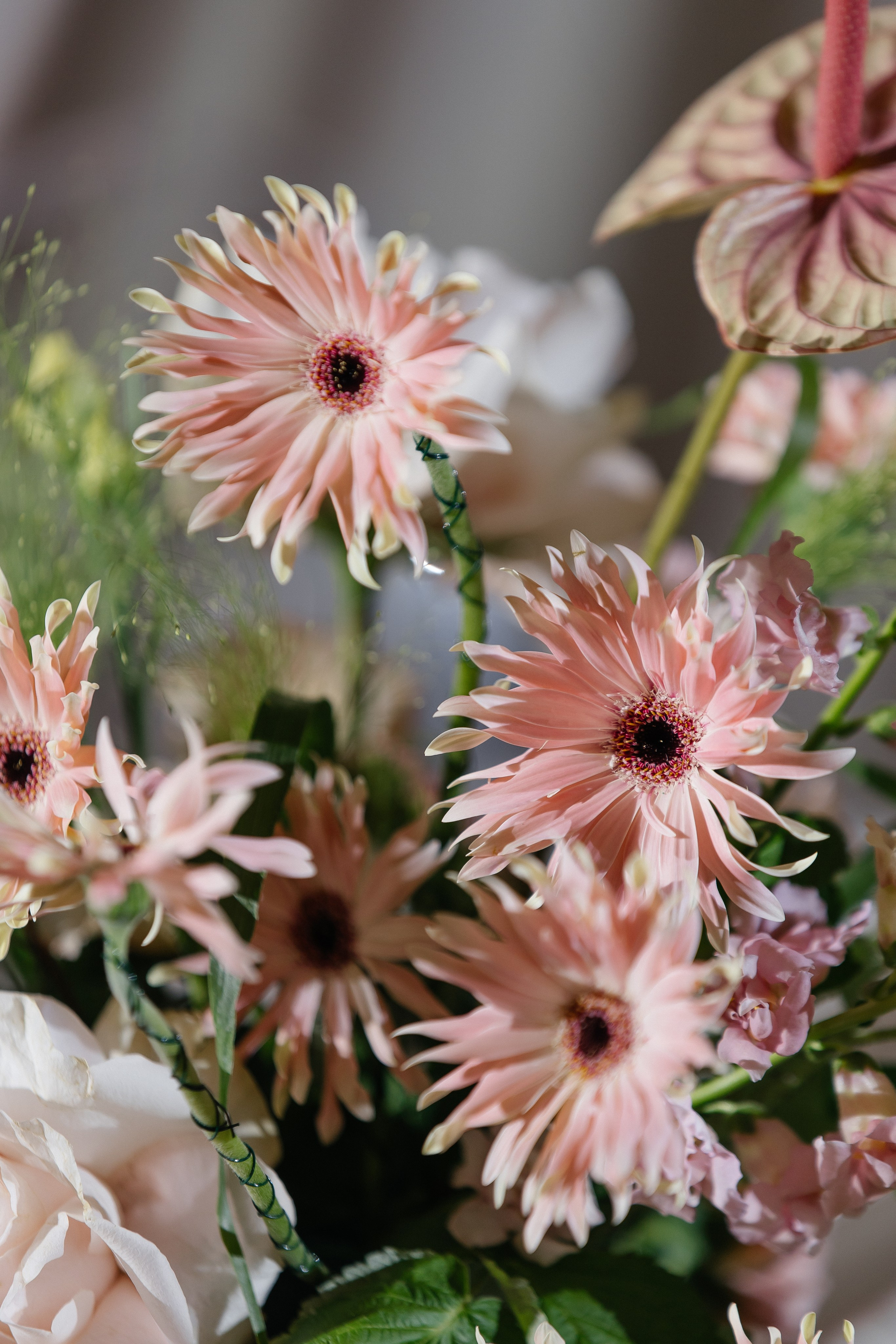 G&P. Фотограф Таганрог Хребет София