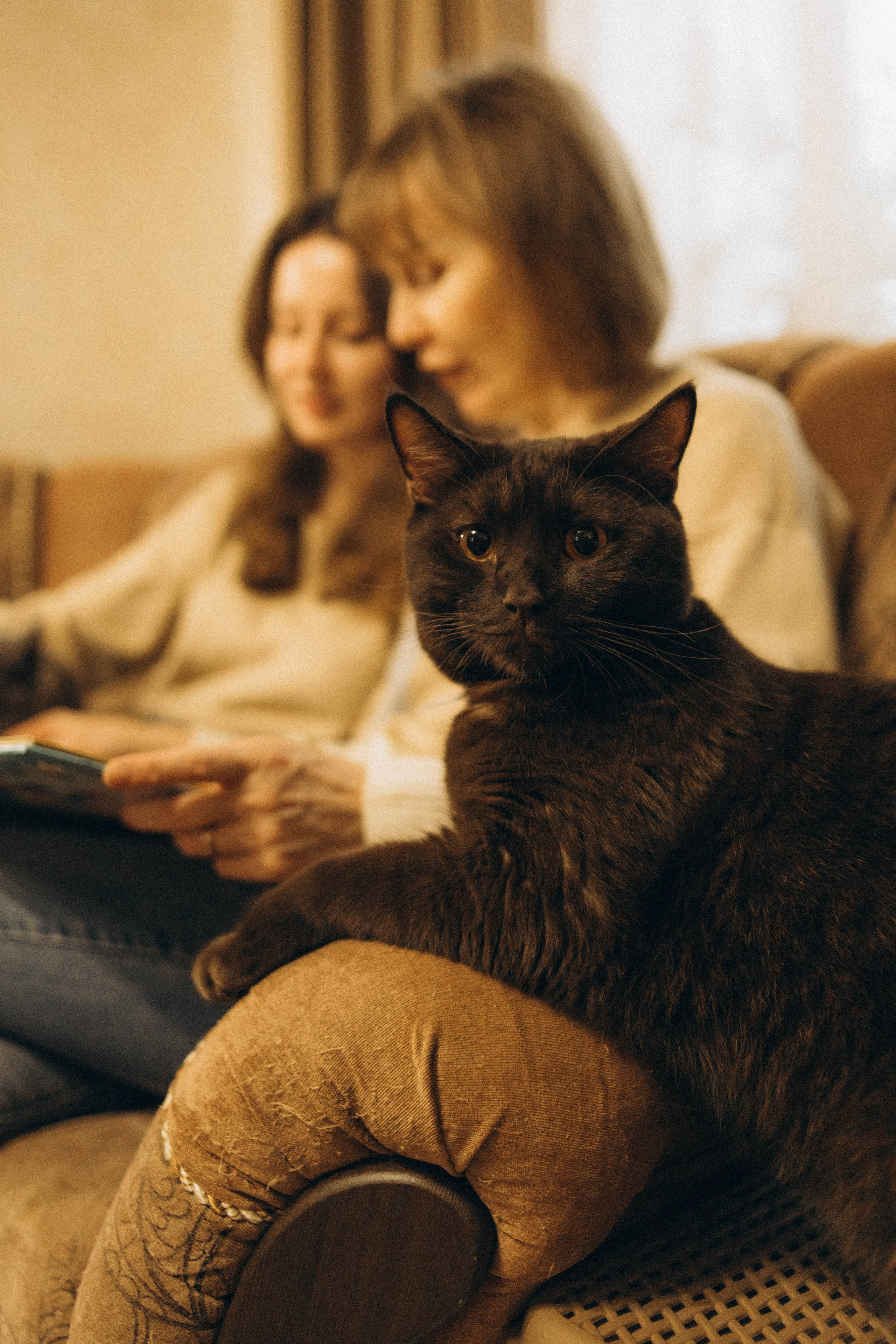 Мама рядом. Семейный и детский фотограф в Павловском Посаде Сарапкина Наталья