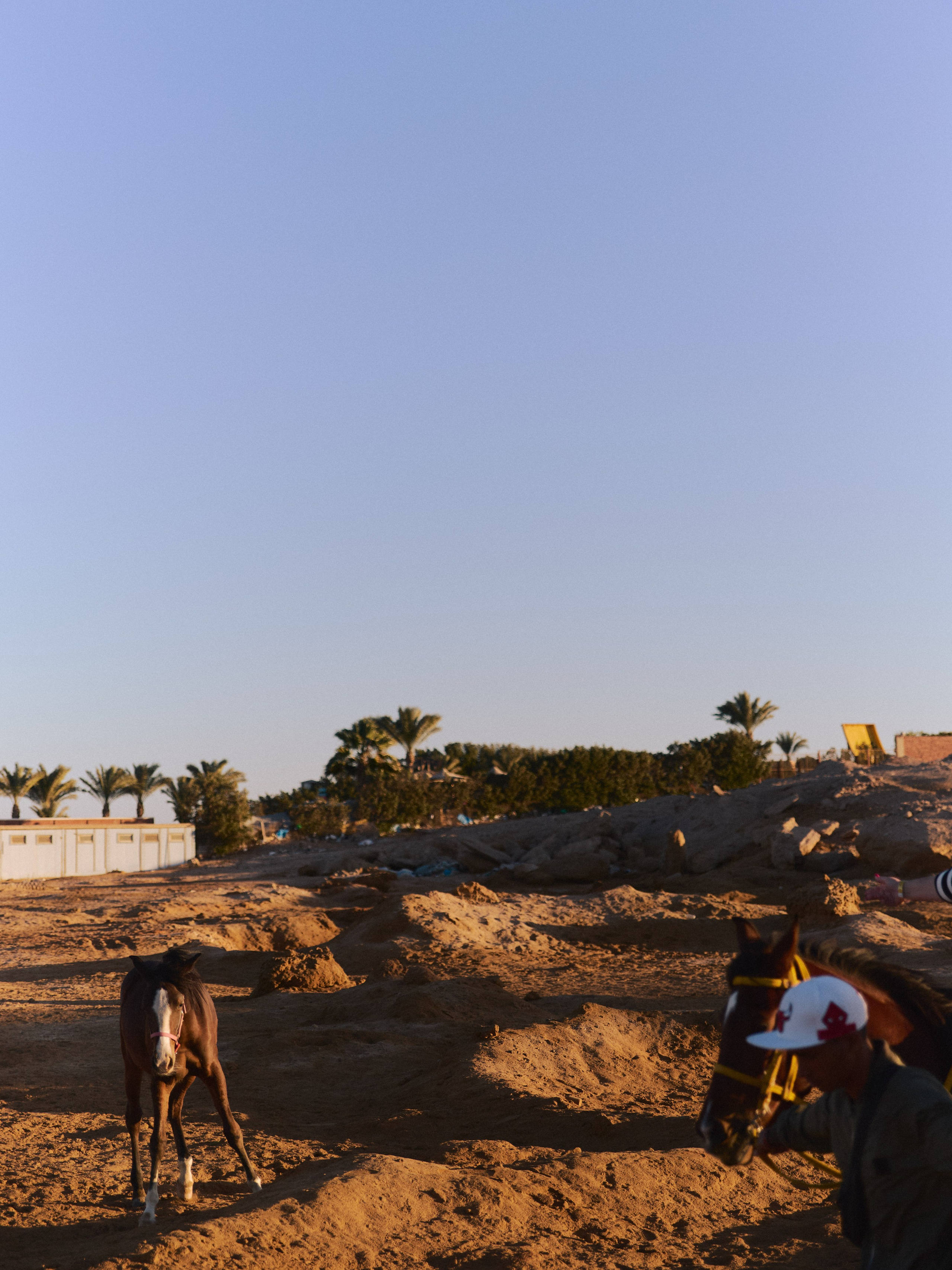 Природа сквозь. Jorgis Talè — photographer, kind person, teacher of arts and other mag