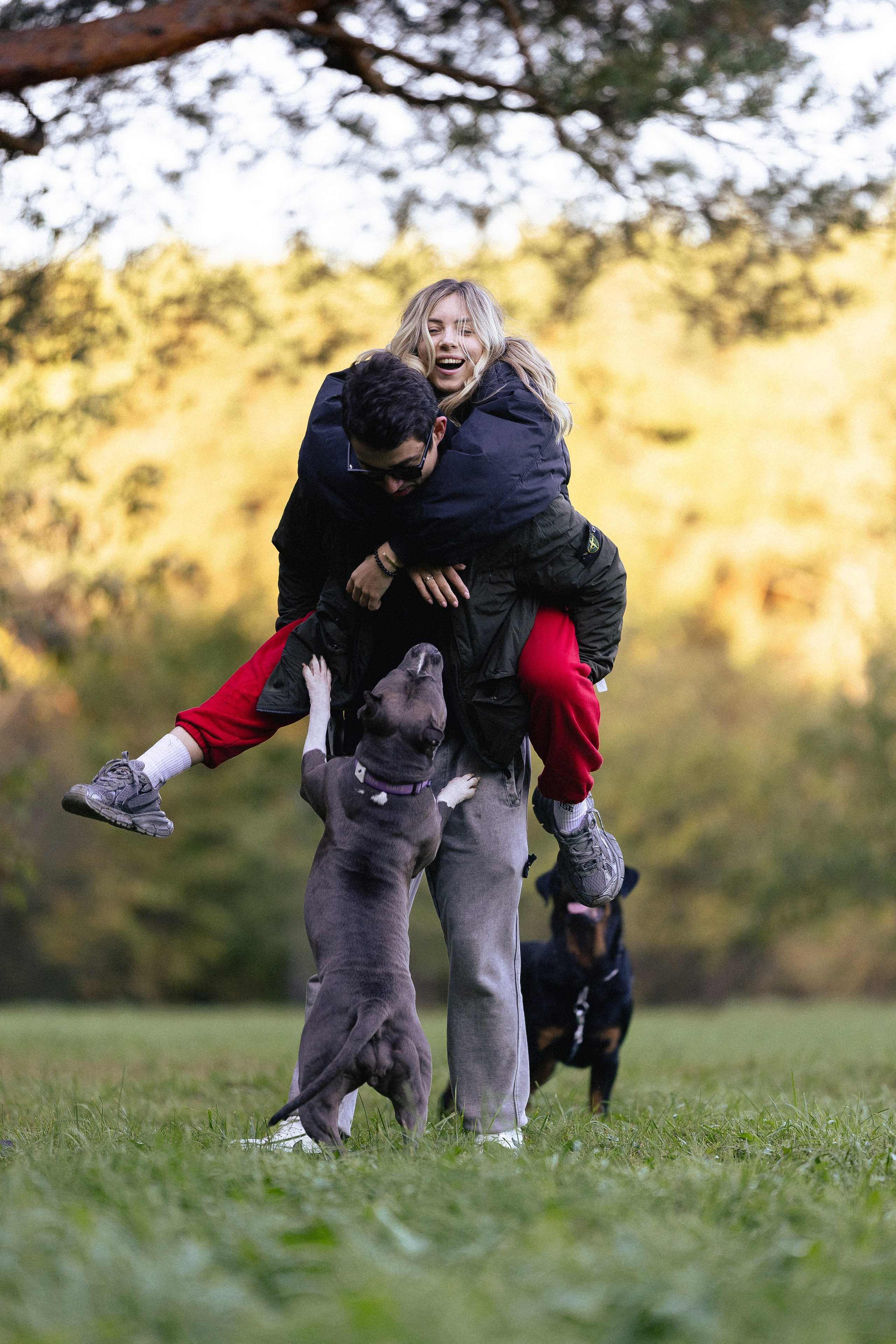 Катя, Леша, Лея и Трой. Фотограф и видеограф анималист Аганина Дарья
