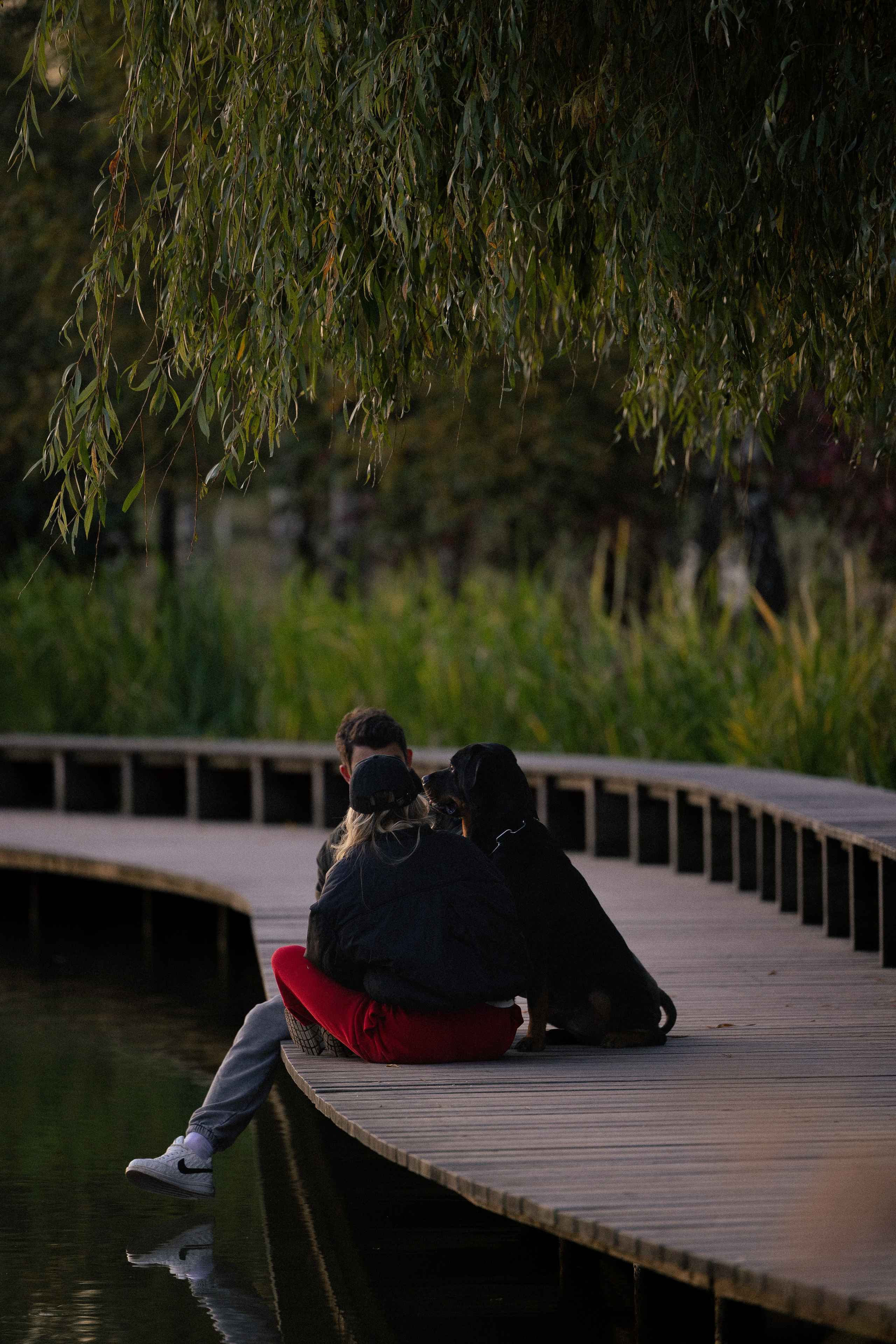Катя, Леша, Лея и Трой. Фотограф и видеограф анималист Аганина Дарья