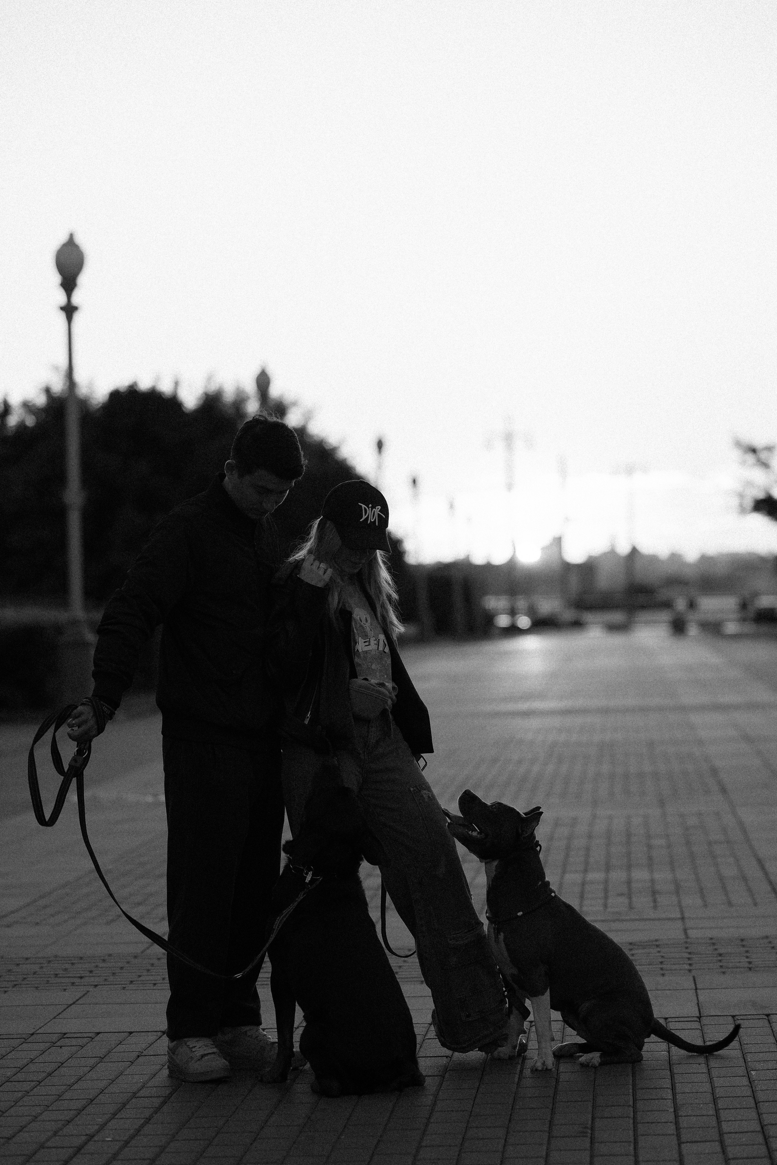 Катя, Леша, Лея и Трой. Фотограф и видеограф анималист Аганина Дарья