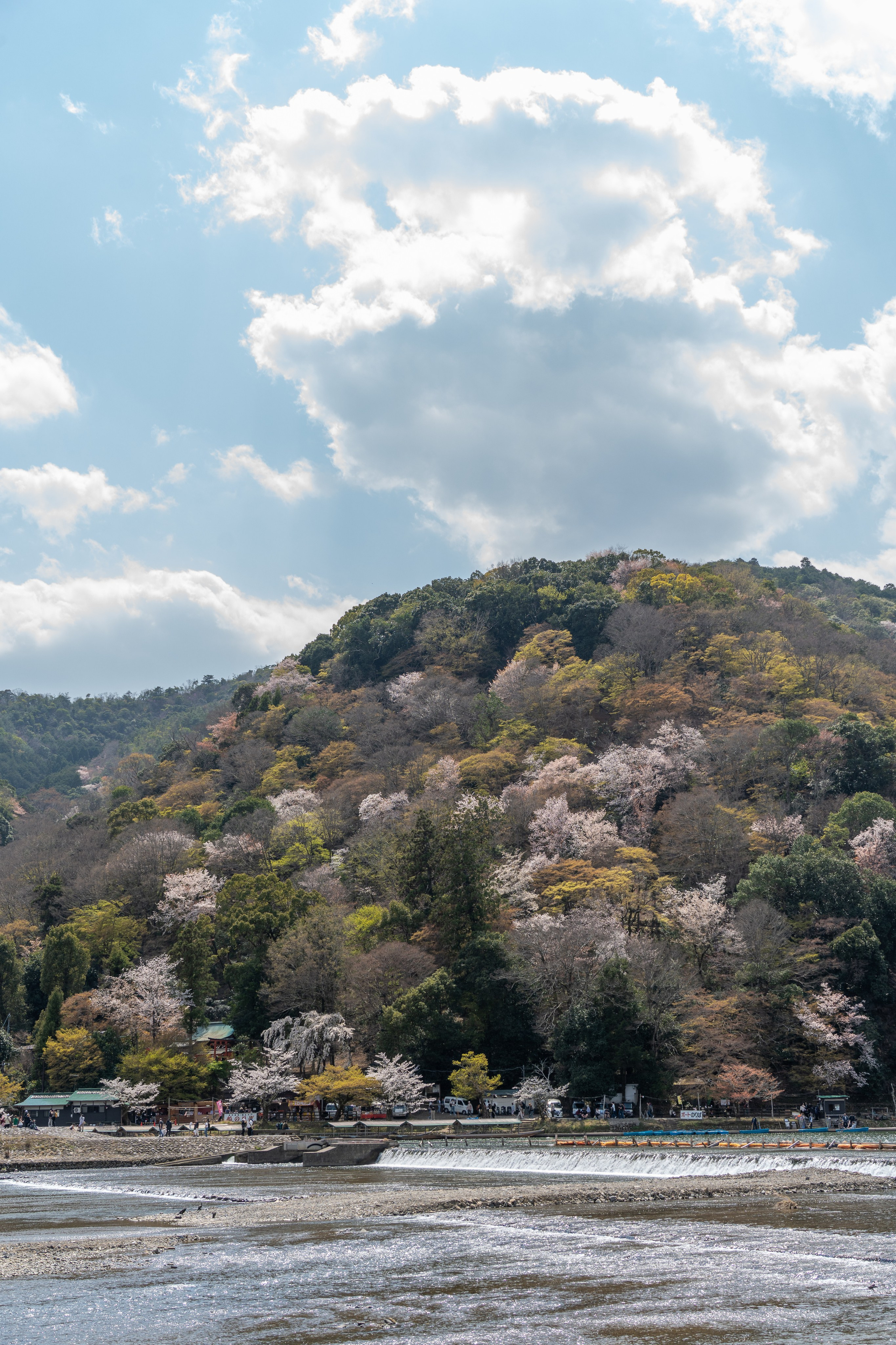 Япония, сакура. Творческие сьемки