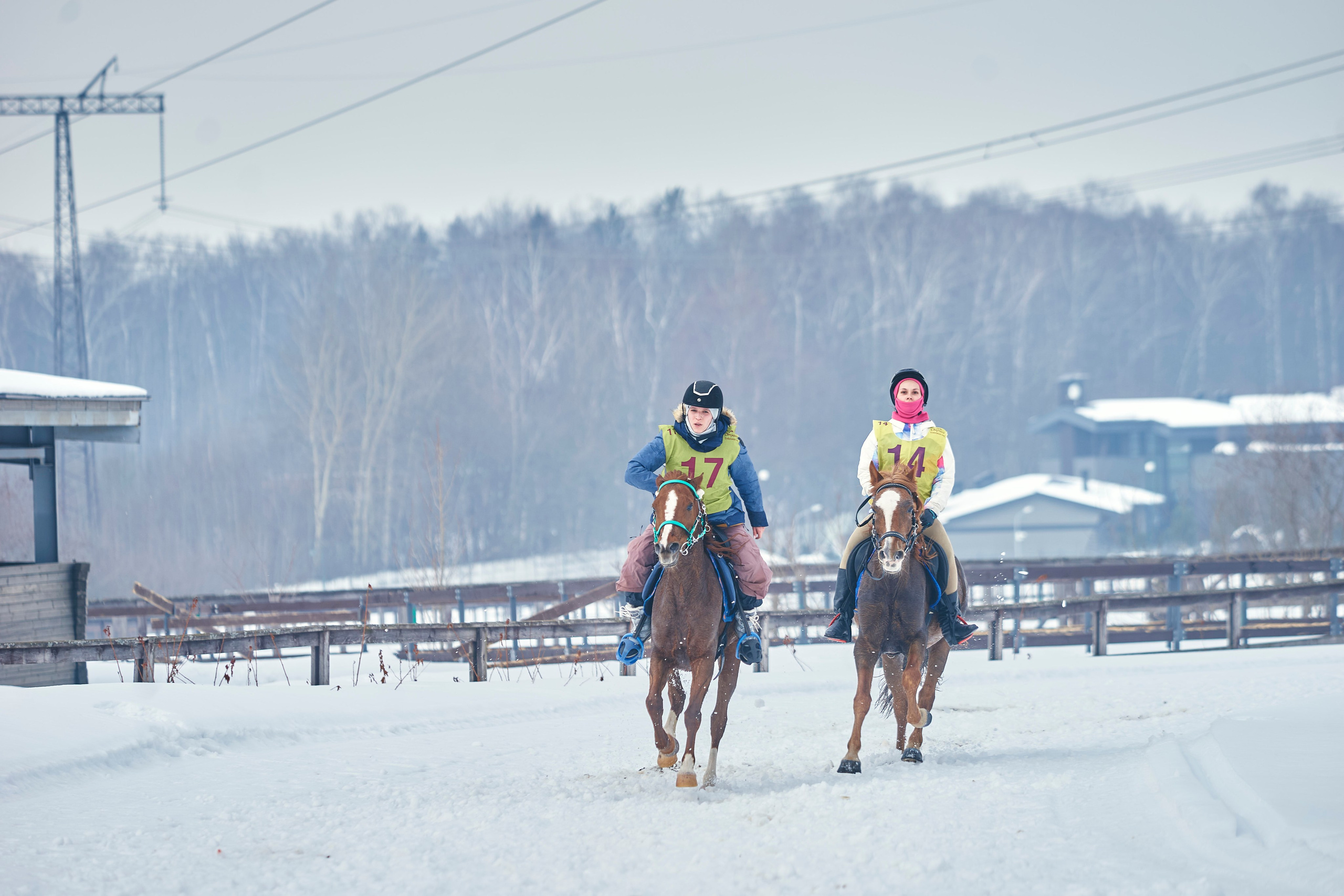 HORSE RACING. Фотограф Наталья Леонова