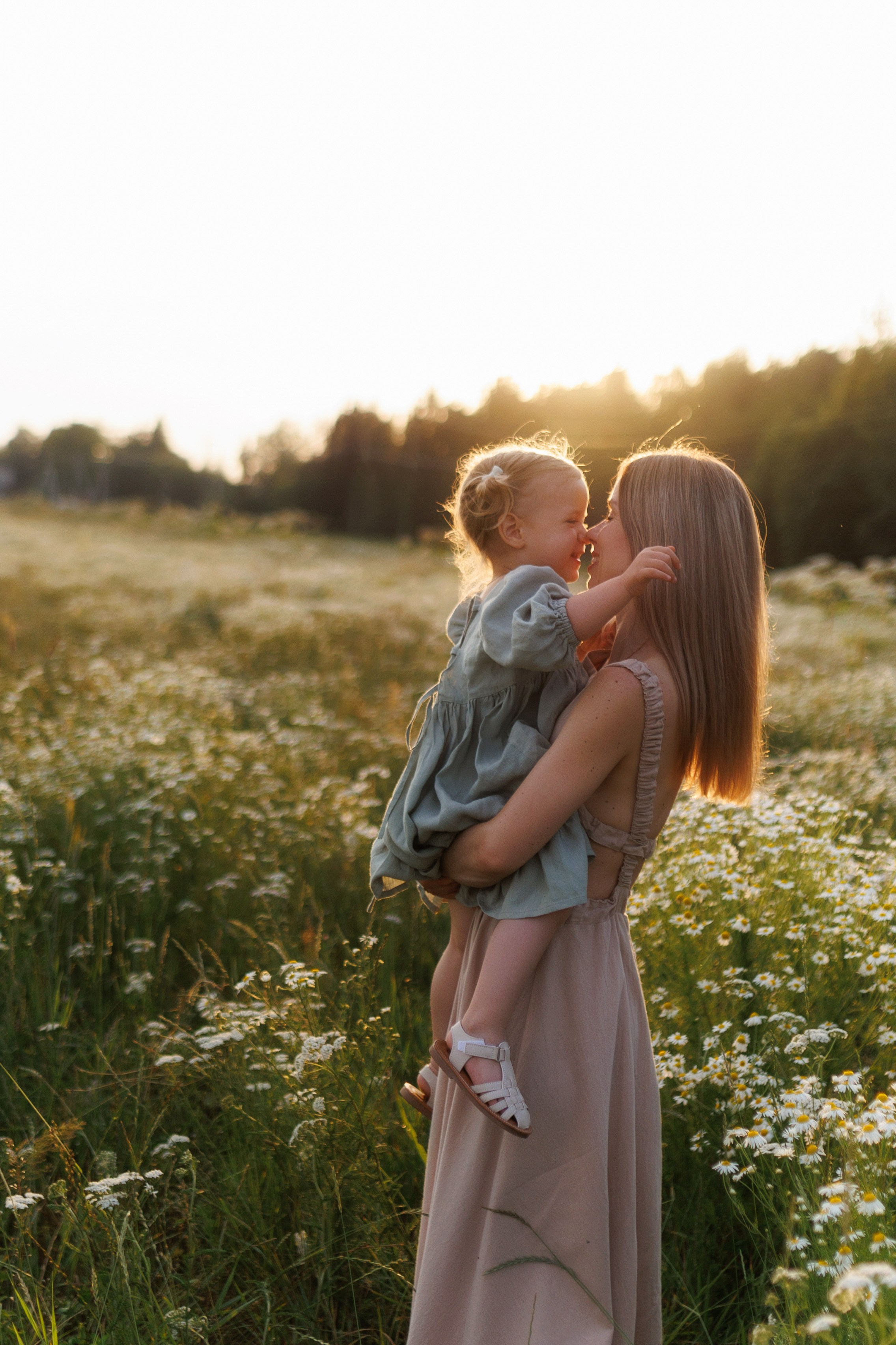 В ромашковом поле. Фотограф в Красногорске и Москве