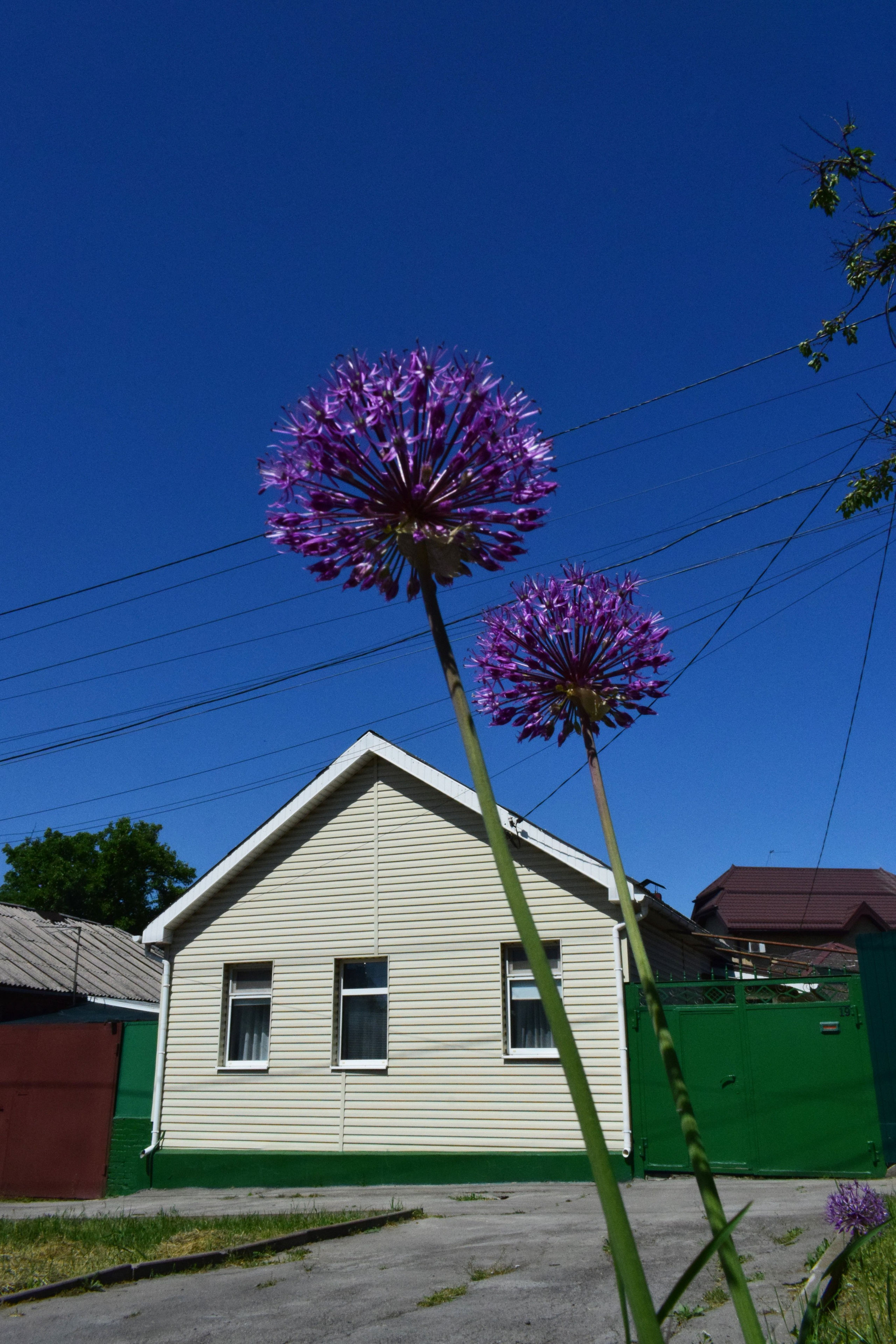 РОСТОВ. Фотограф Глеб Садов