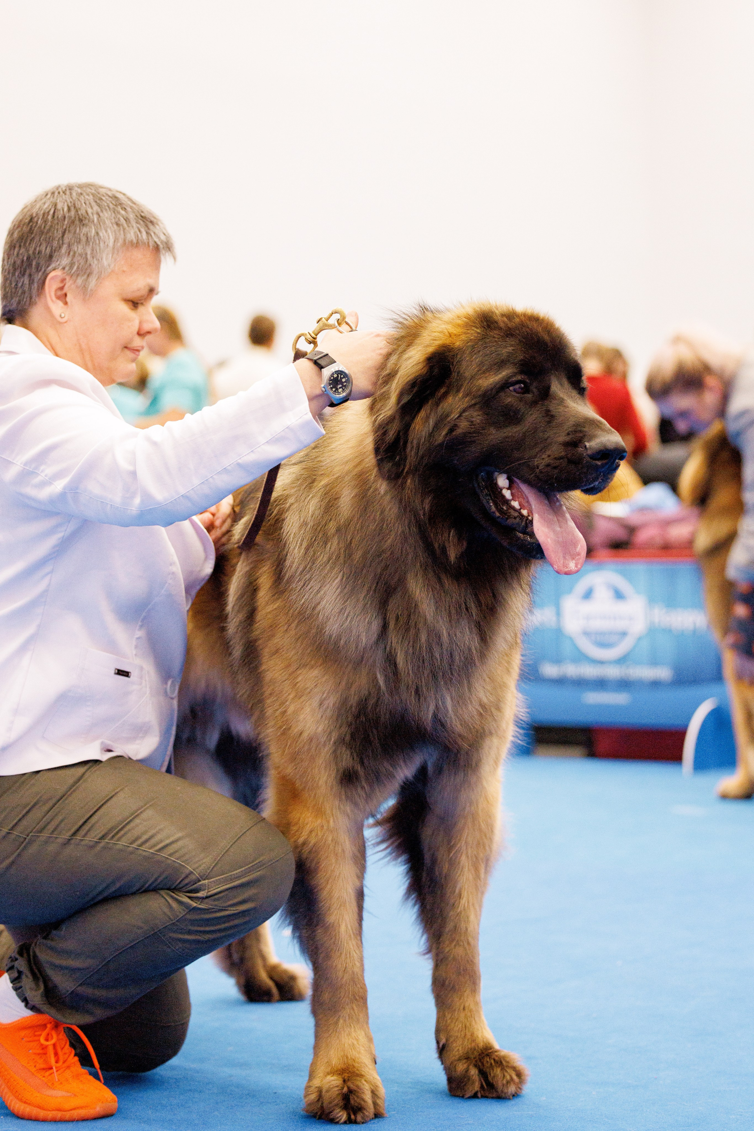 Нижний Новгород 21-22.10.2023. Фотограф-анималист Юлия Германика