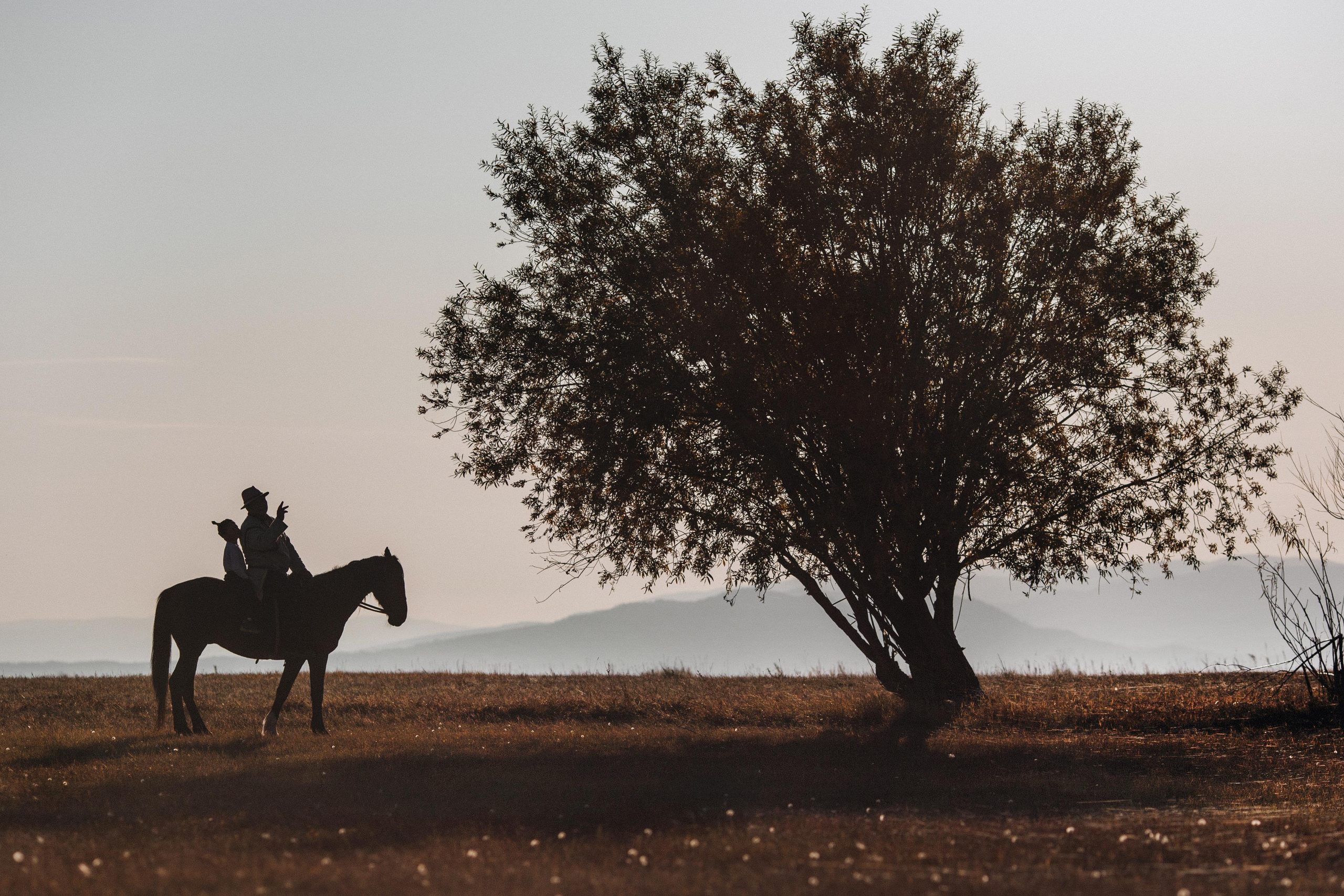 CONTENT. Photographer Konstantin Gribov