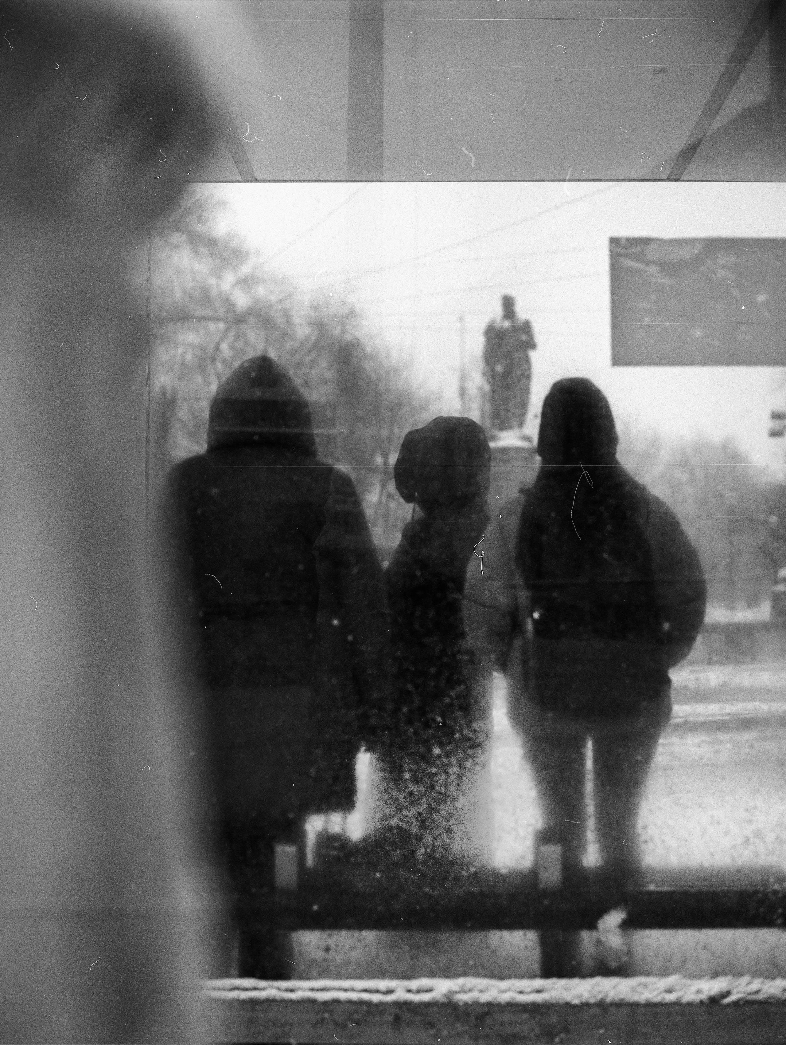 FILM. Photographer Konstantin Gribov