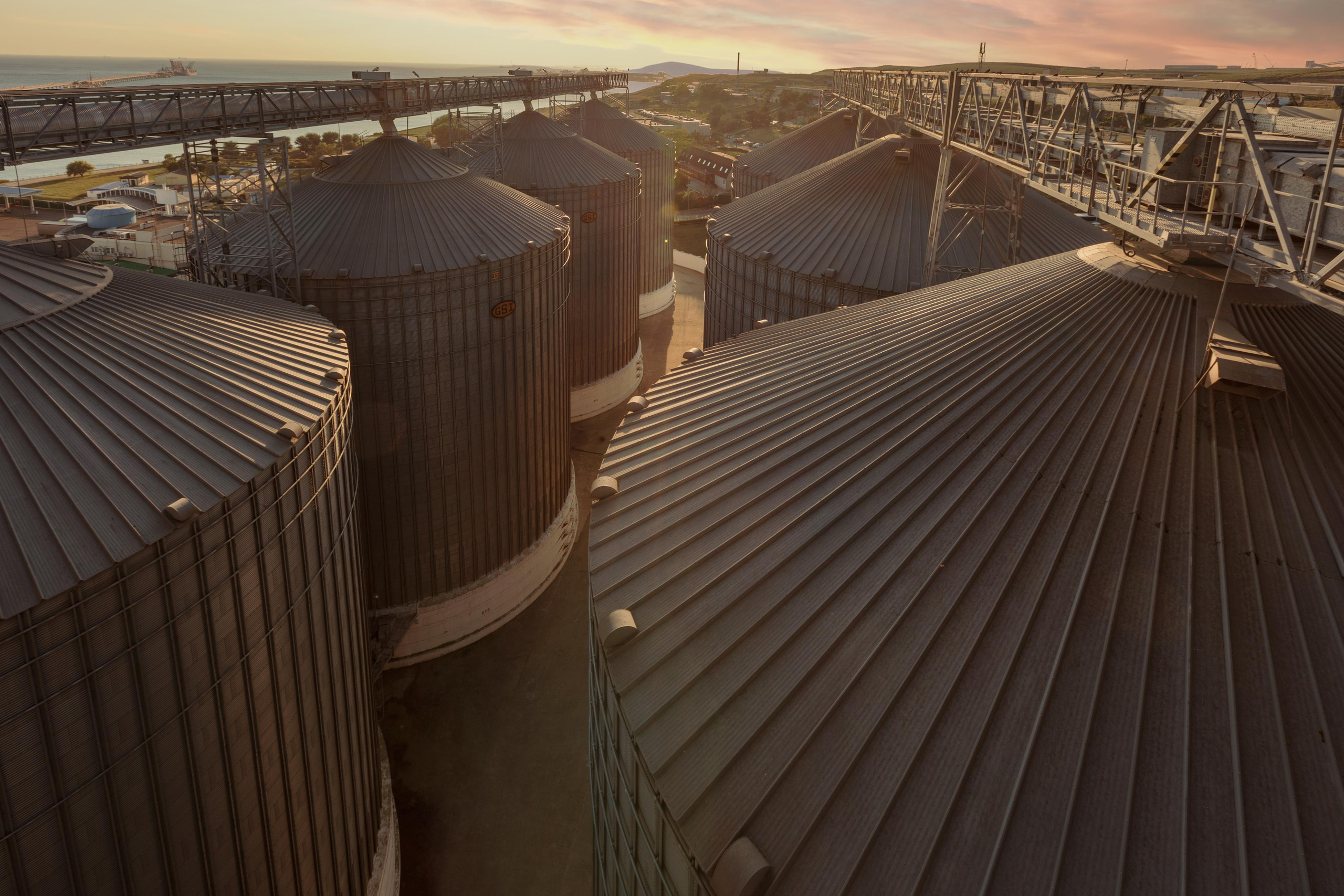 CONTENT. Photographer Konstantin Gribov