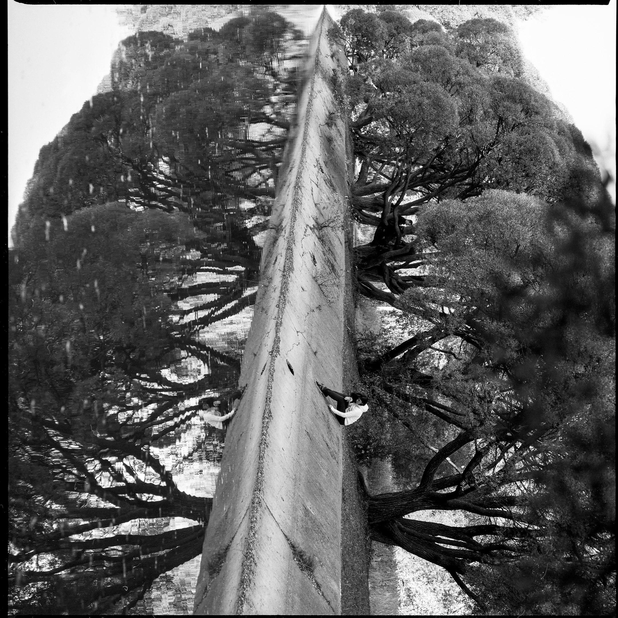 FILM. Photographer Konstantin Gribov